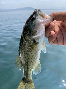 82FA7EB1-E9E3-4EC5-B77F-C522DCCE47E8