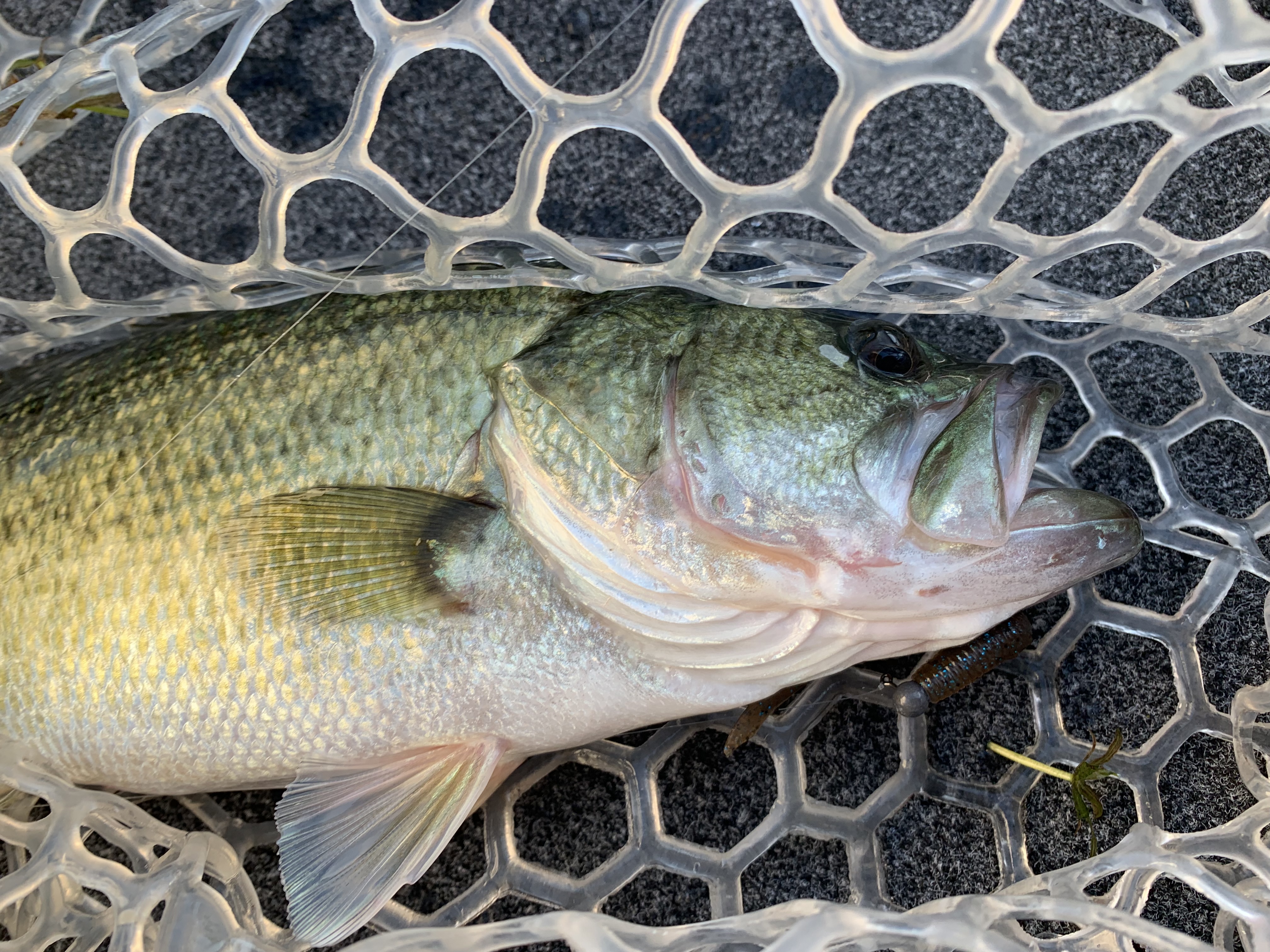 6340662F-D187-46B5-959E-2BC2297C89F9