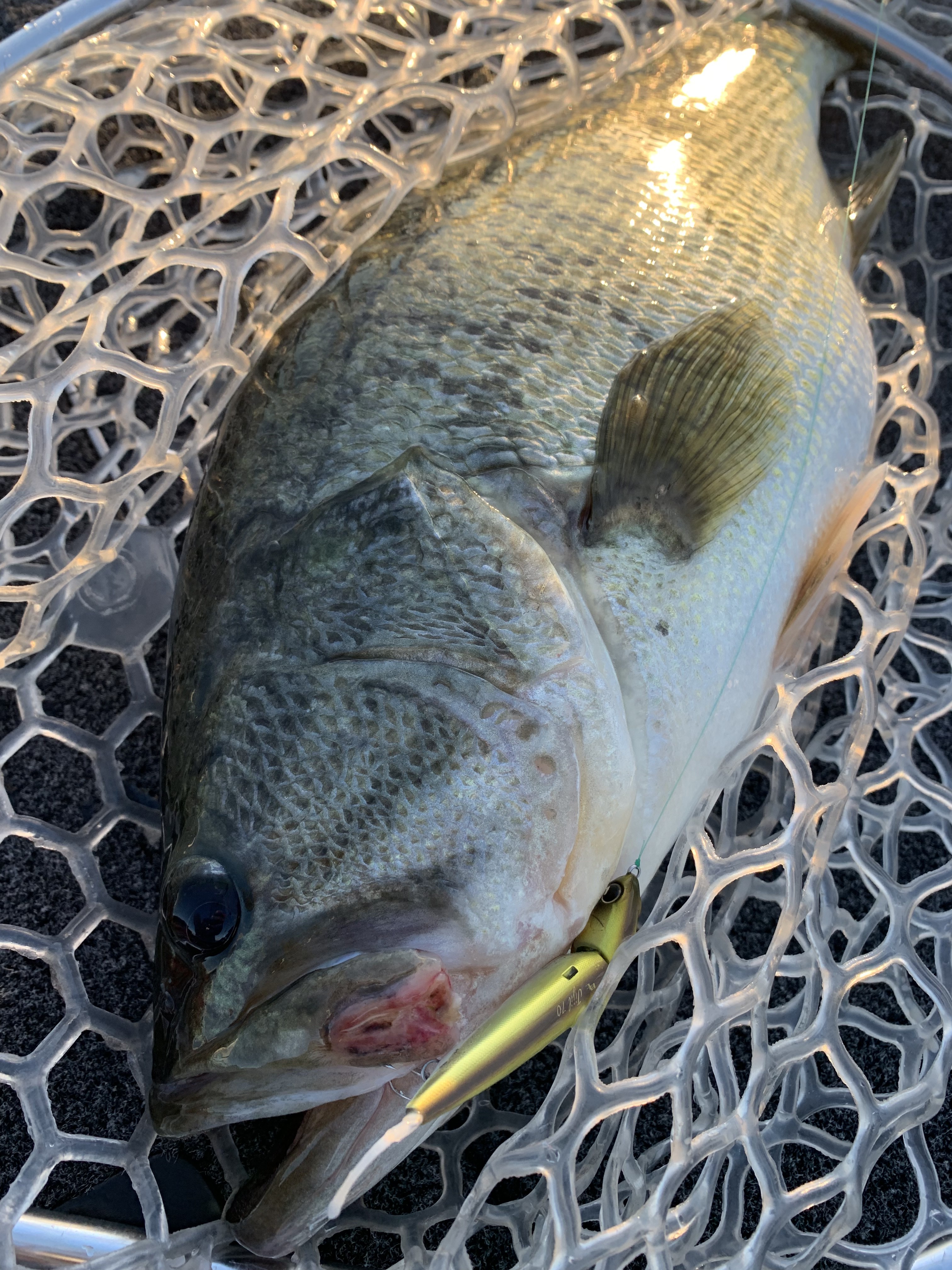 6CCF630D-74F3-4736-83BB-B9AAFA67C94F