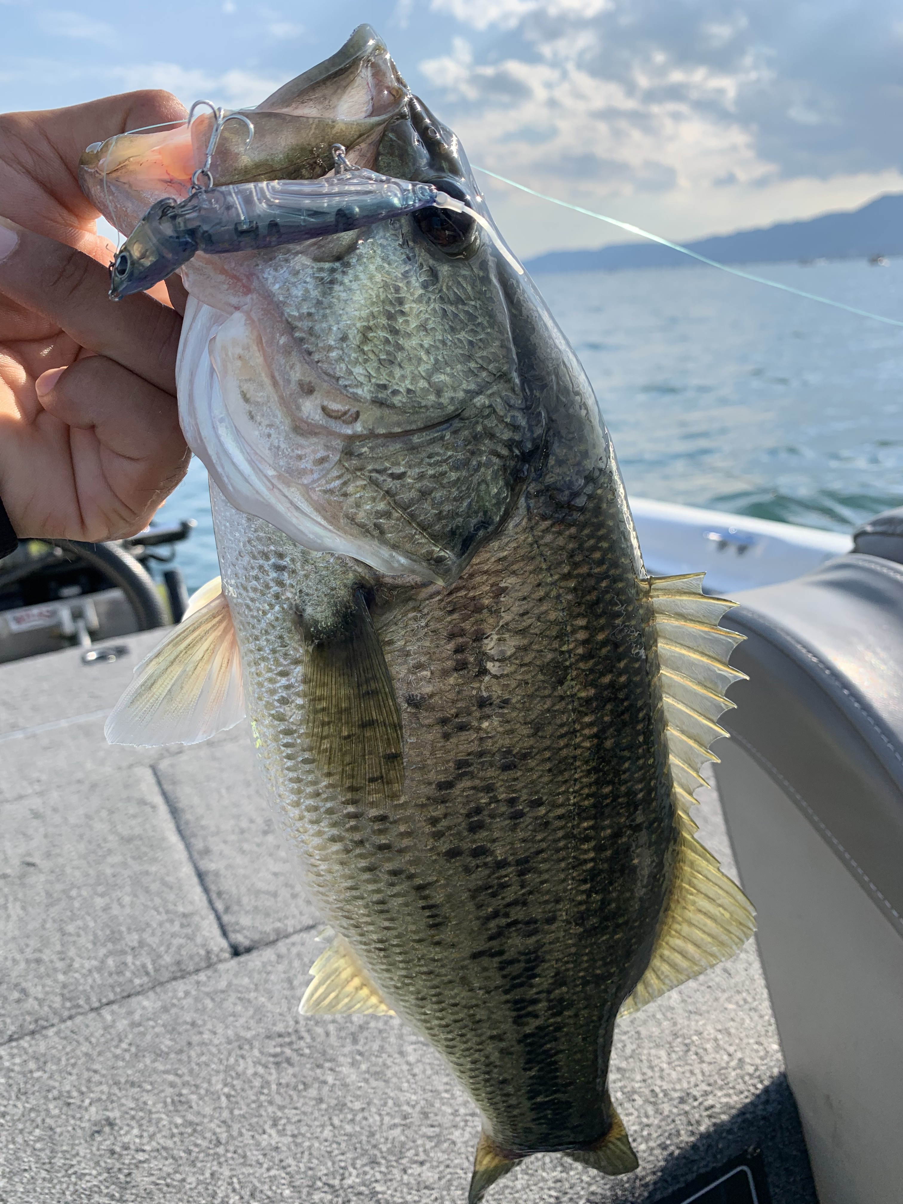 E6E22461-89D2-4EEE-9891-47F79BD54449