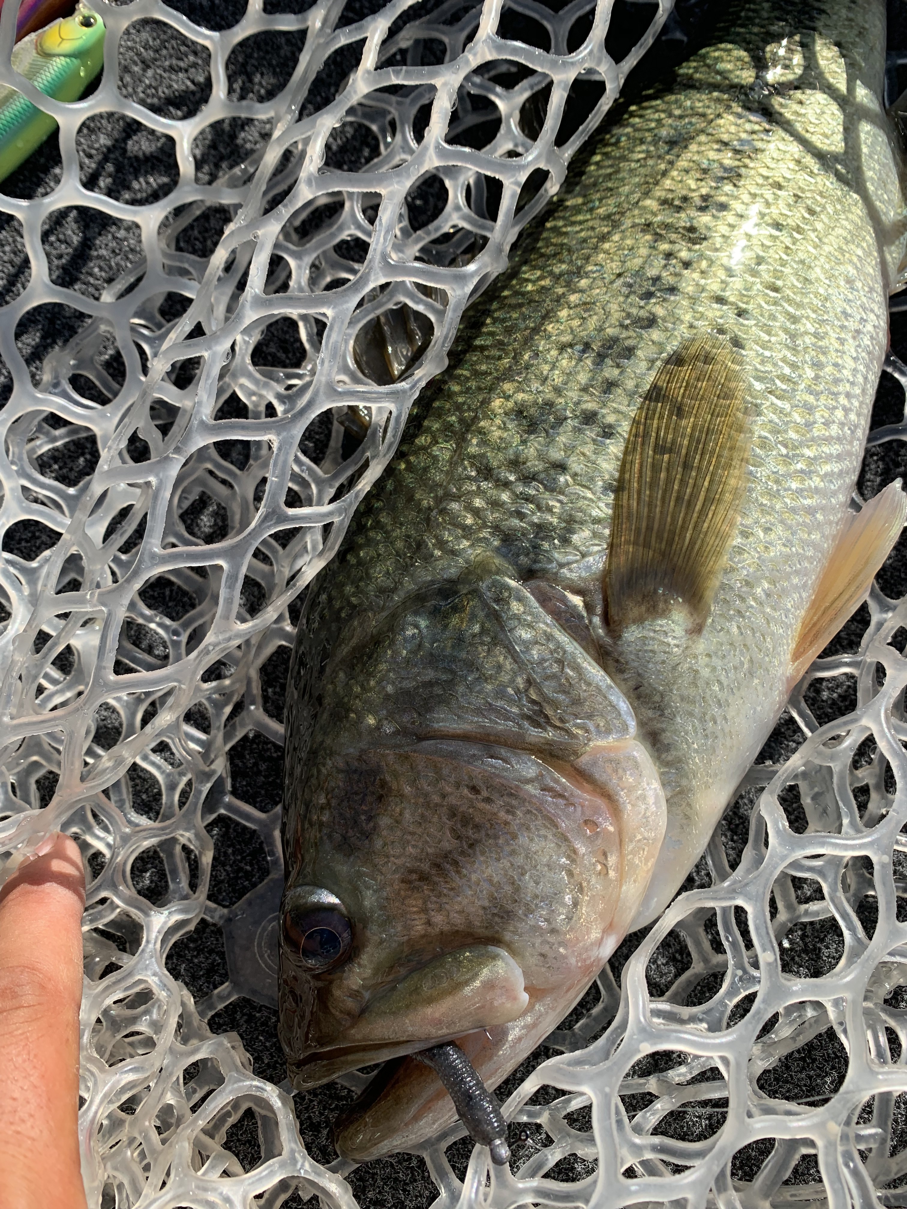 E9824306-A462-4B8E-9C16-228290732563