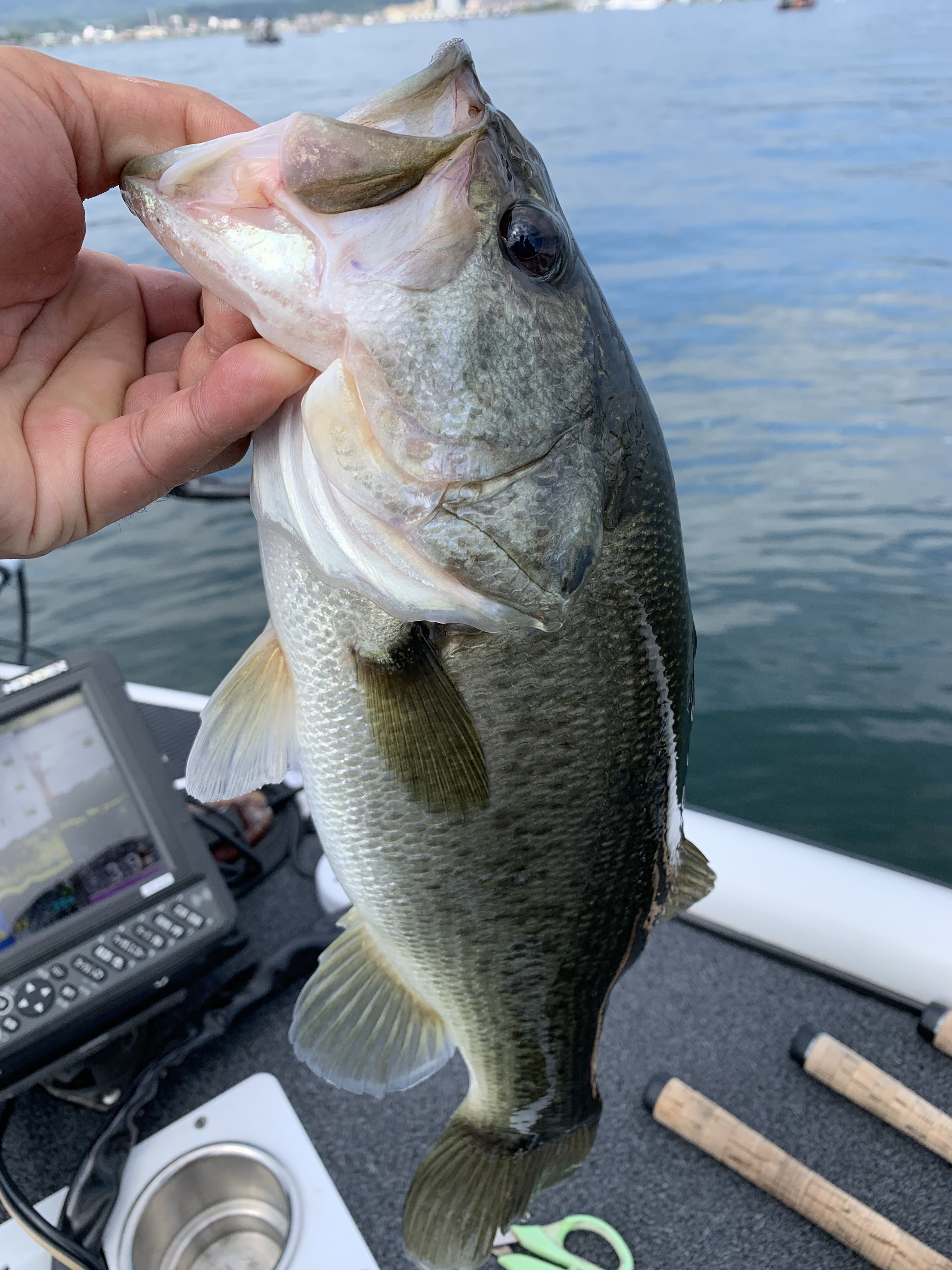 0289B00B-301B-42CD-A00F-03864836B6D9