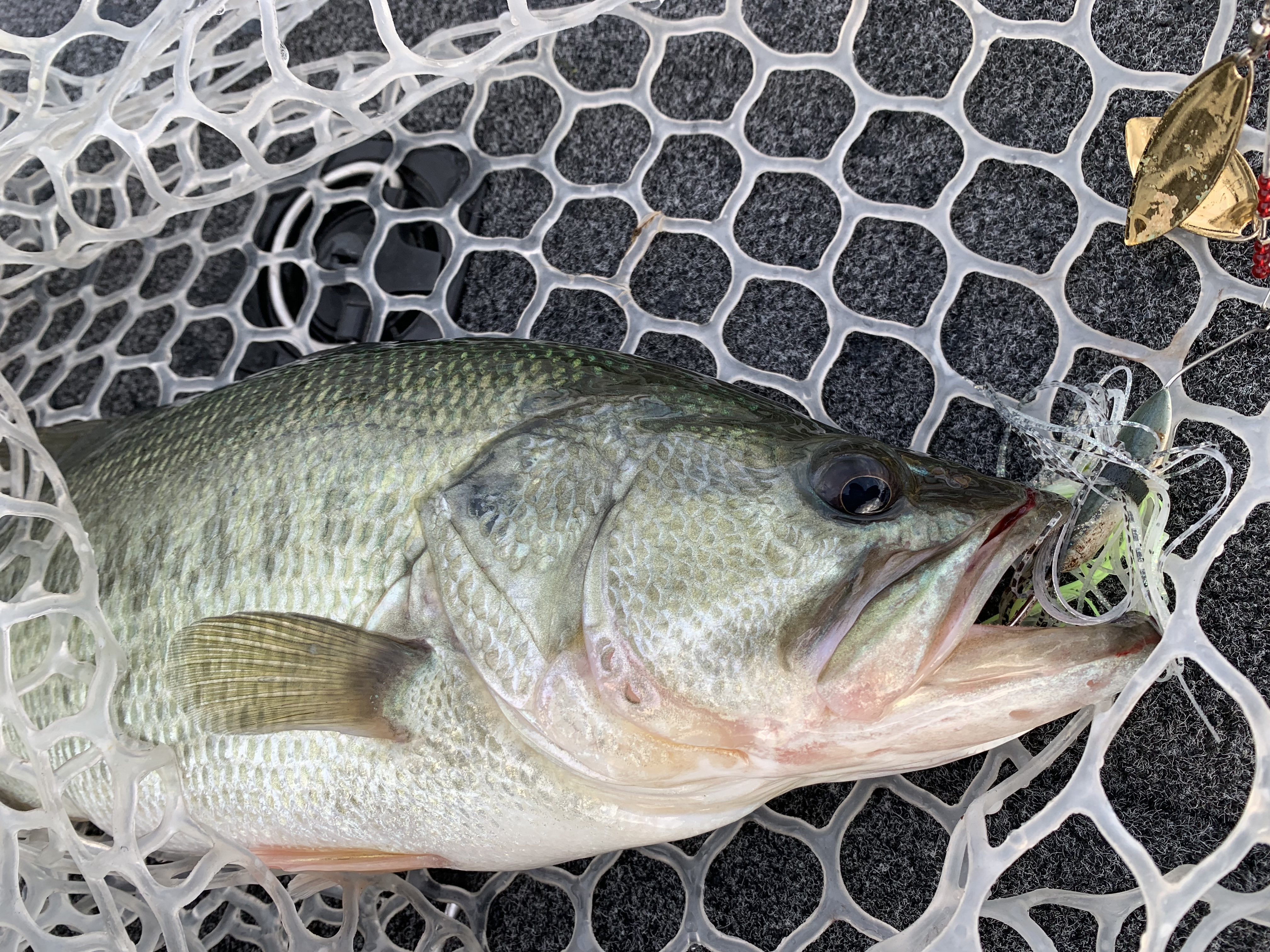 34574AED-458B-4C7F-A74E-CBD0ED9CAD71