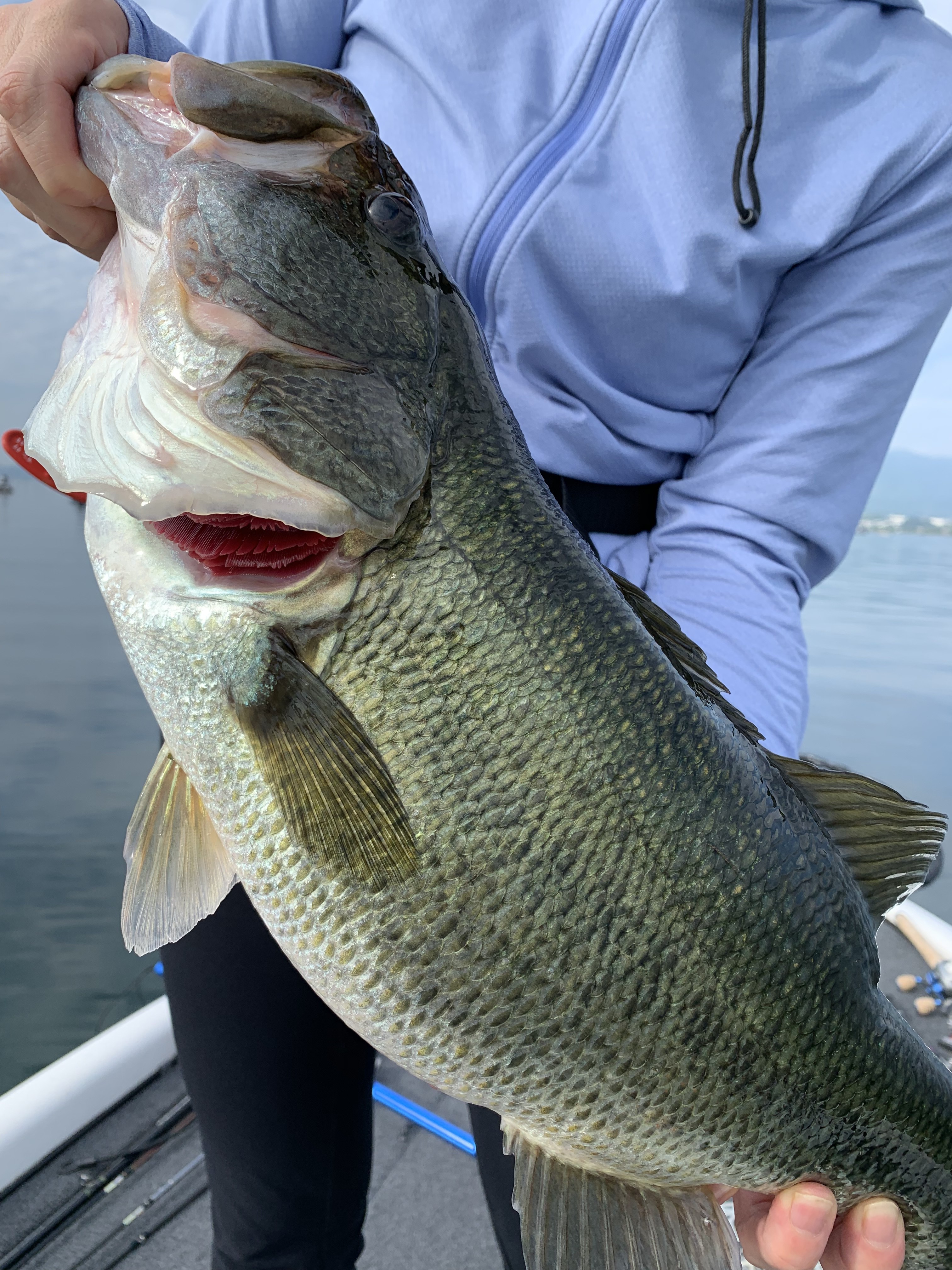 571D18ED-338A-484C-843C-03C9BF3F84E9