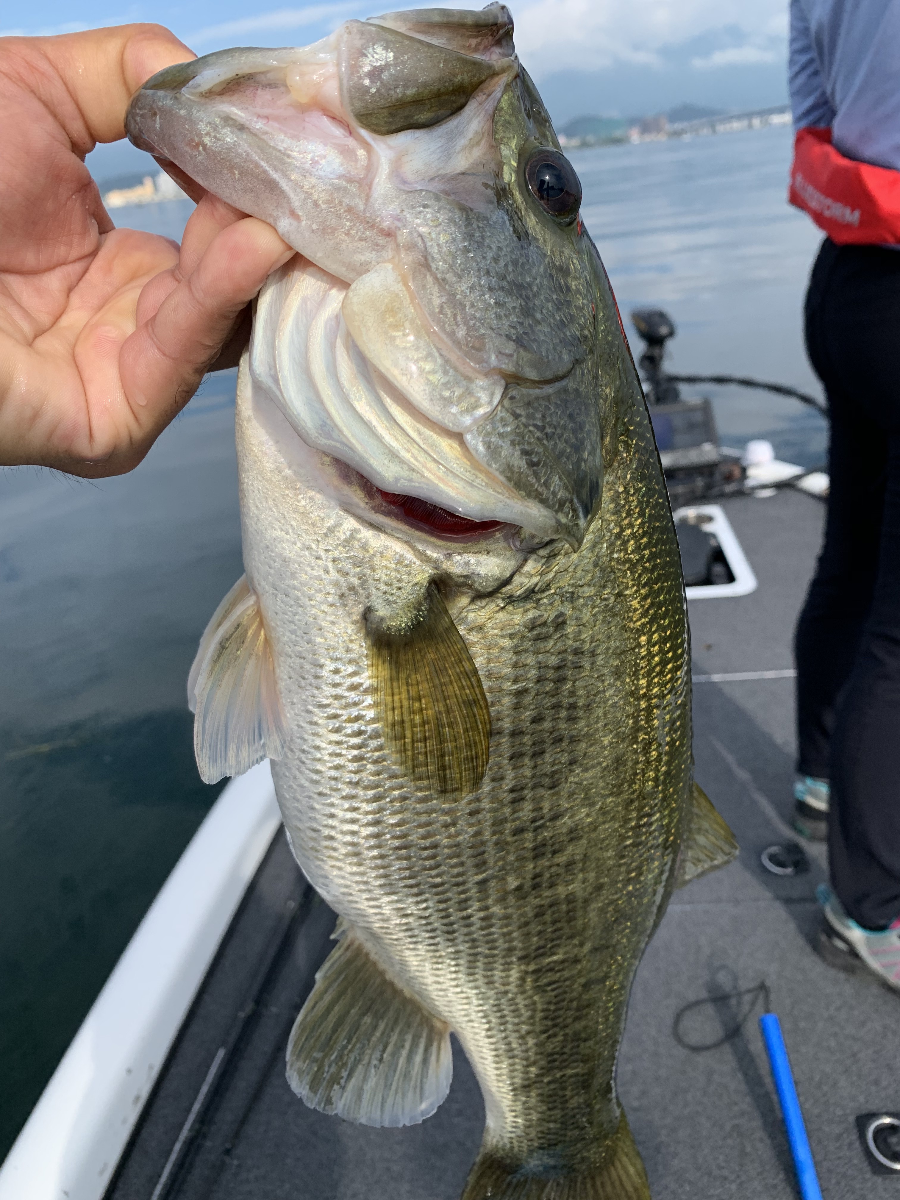 A732CA59-DAAF-420C-BD66-FE324A23CF88