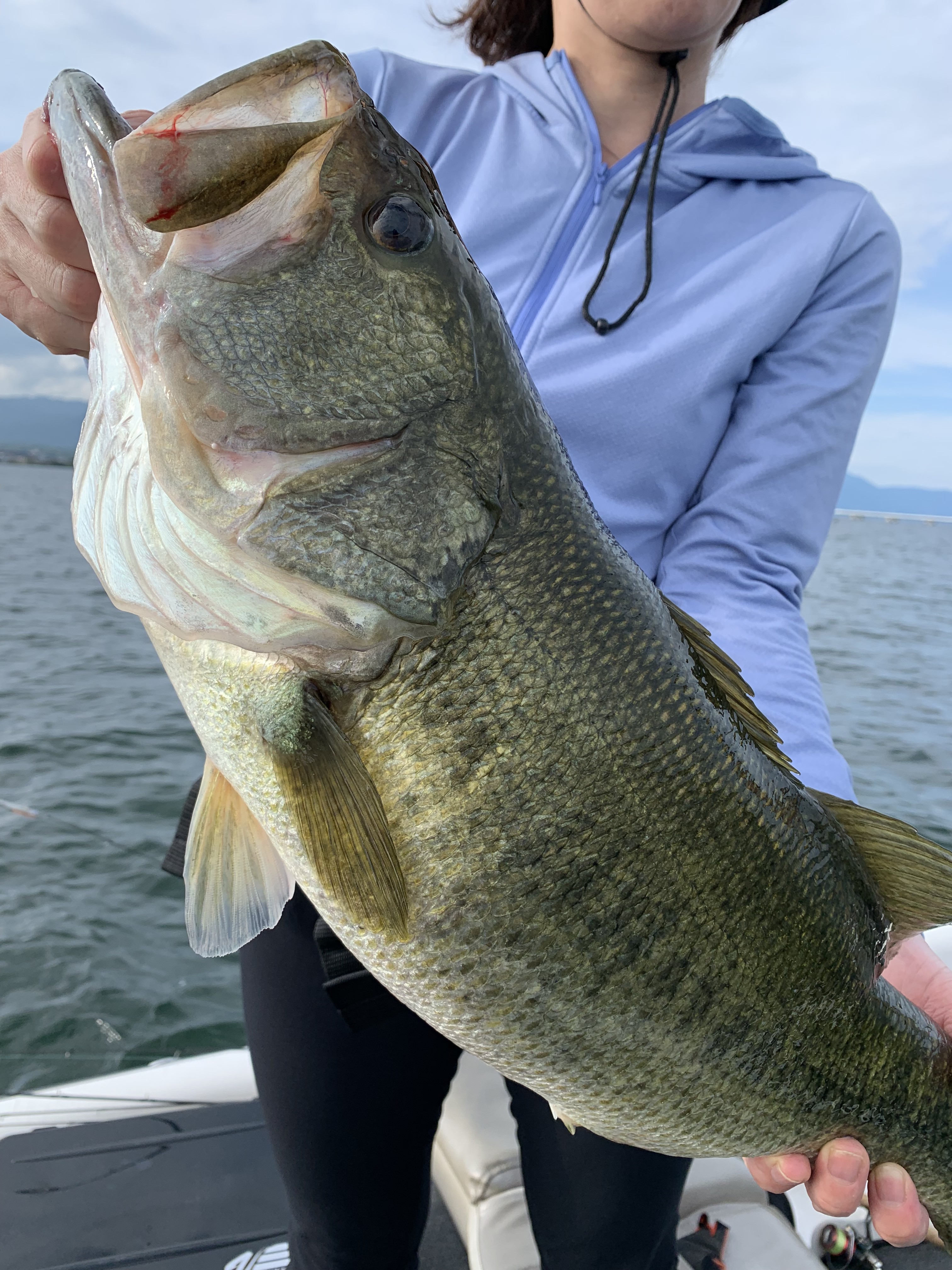 E128CD4E-1242-41BF-9D28-C6ED4CC13775