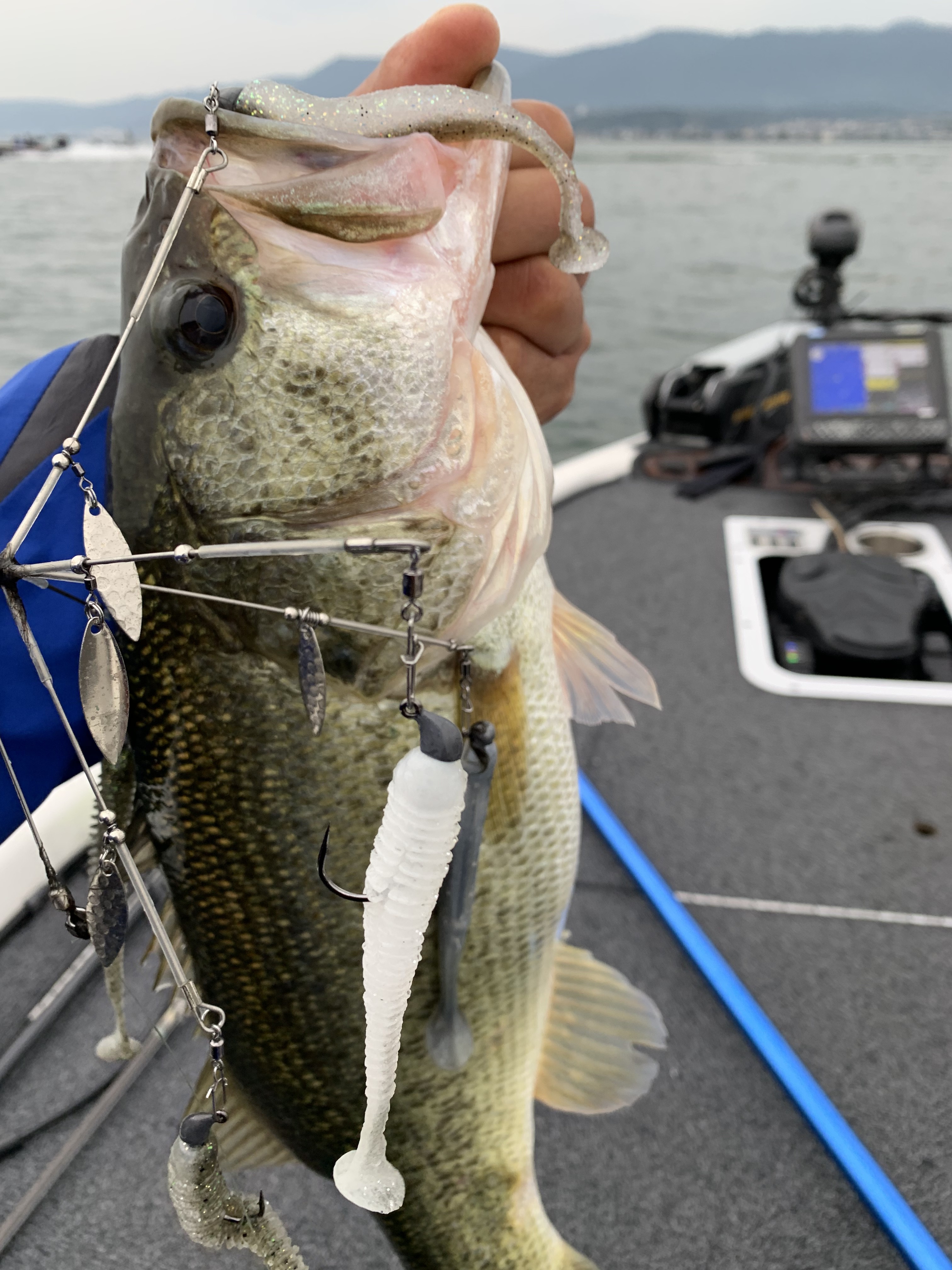 27954F80-7A04-41B6-976B-796757532BE0