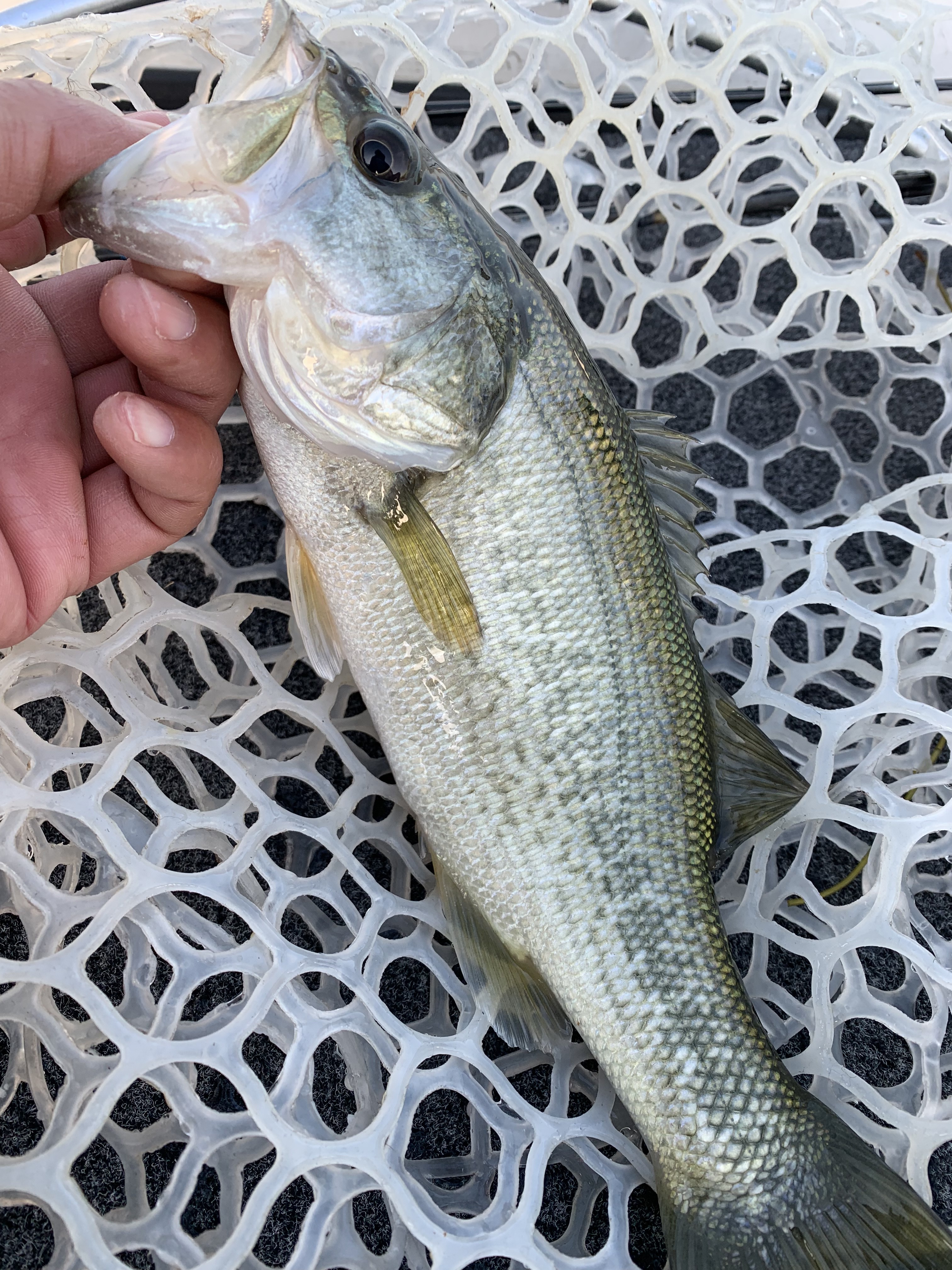 411B7EAD-9265-401C-9F08-87731CFEEEFB