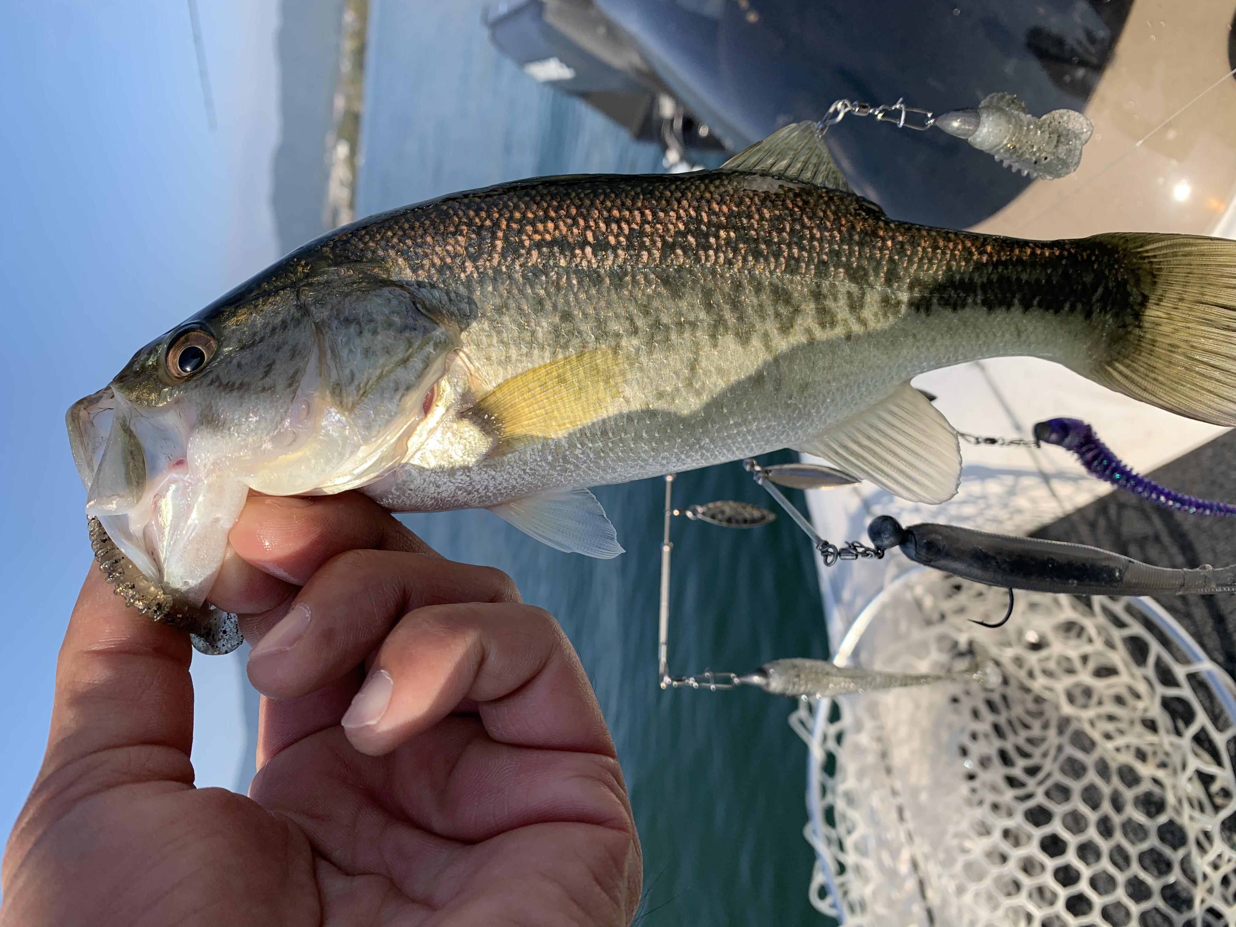 B10F2D4B-68D6-43C5-826C-BE9EAAD4121B