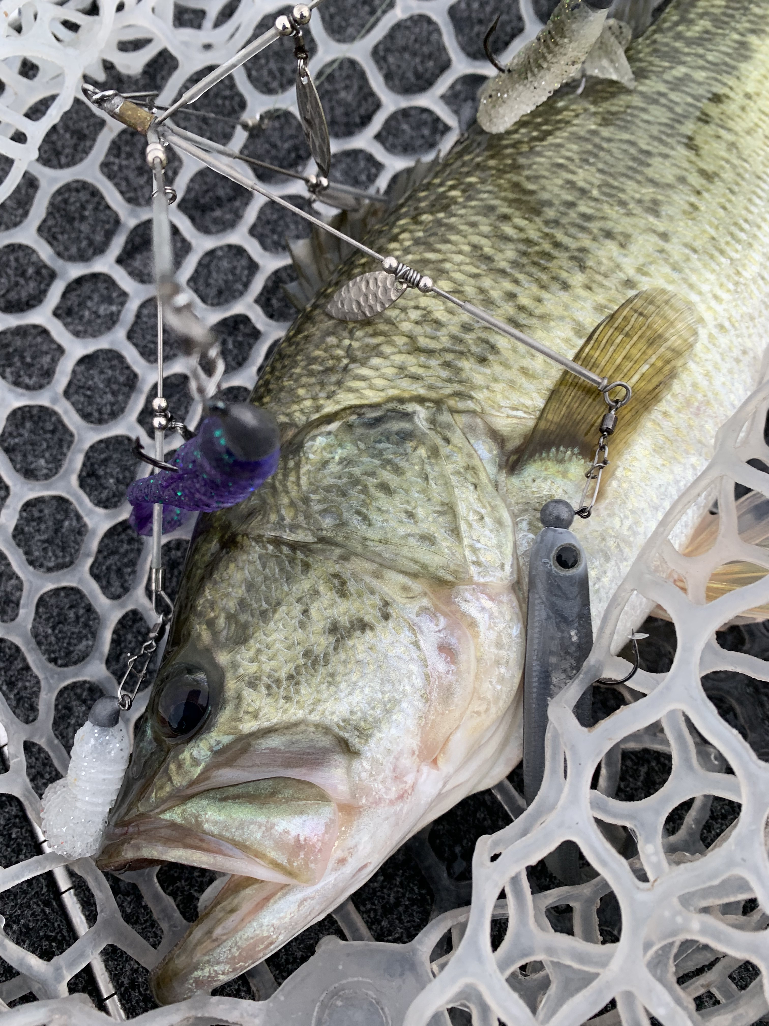 B8A085B7-6922-41CD-9964-24F58D0DE1C8