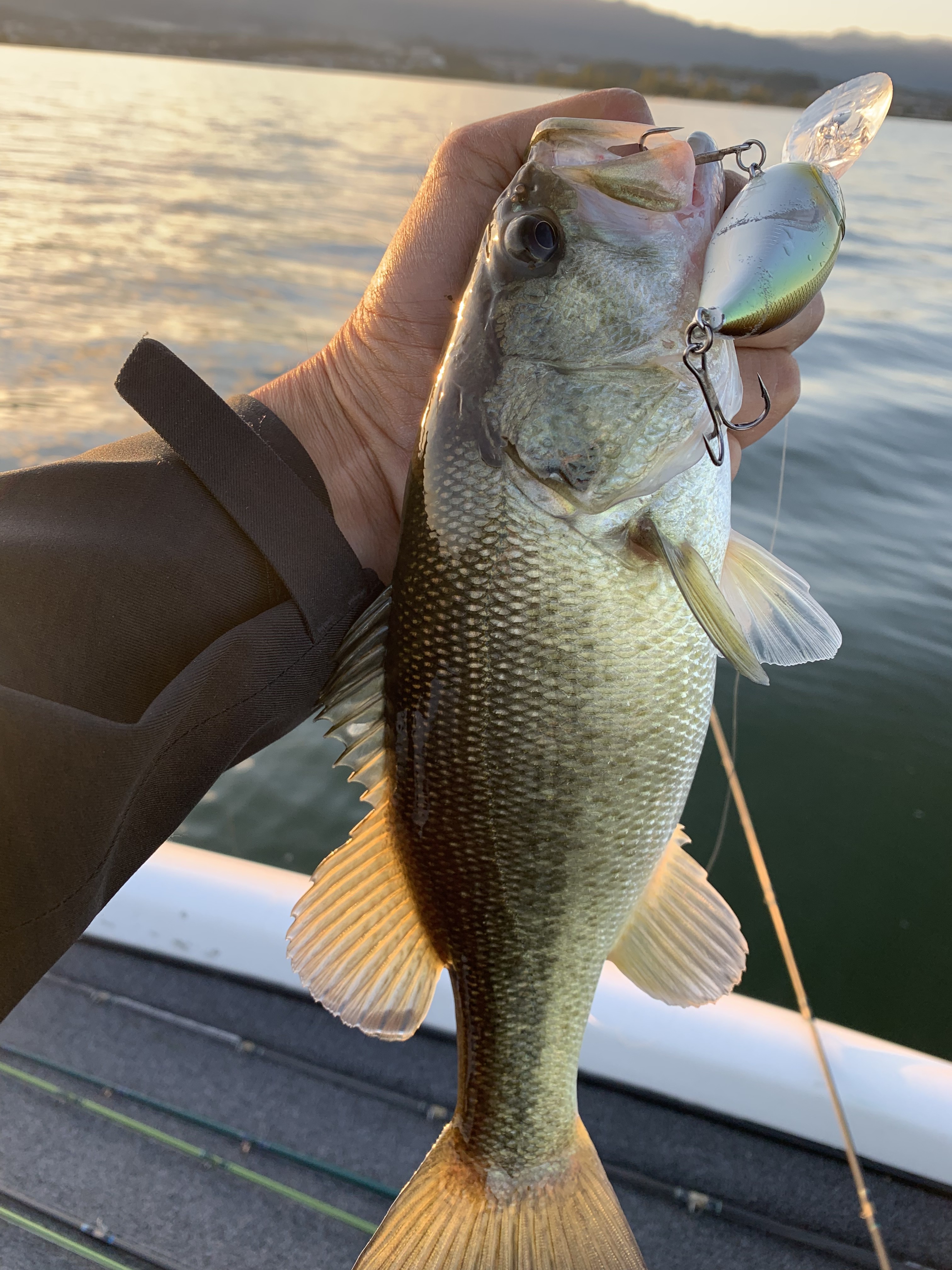 C64E7983-3B46-4AEE-9937-E7EE13E7B6AA