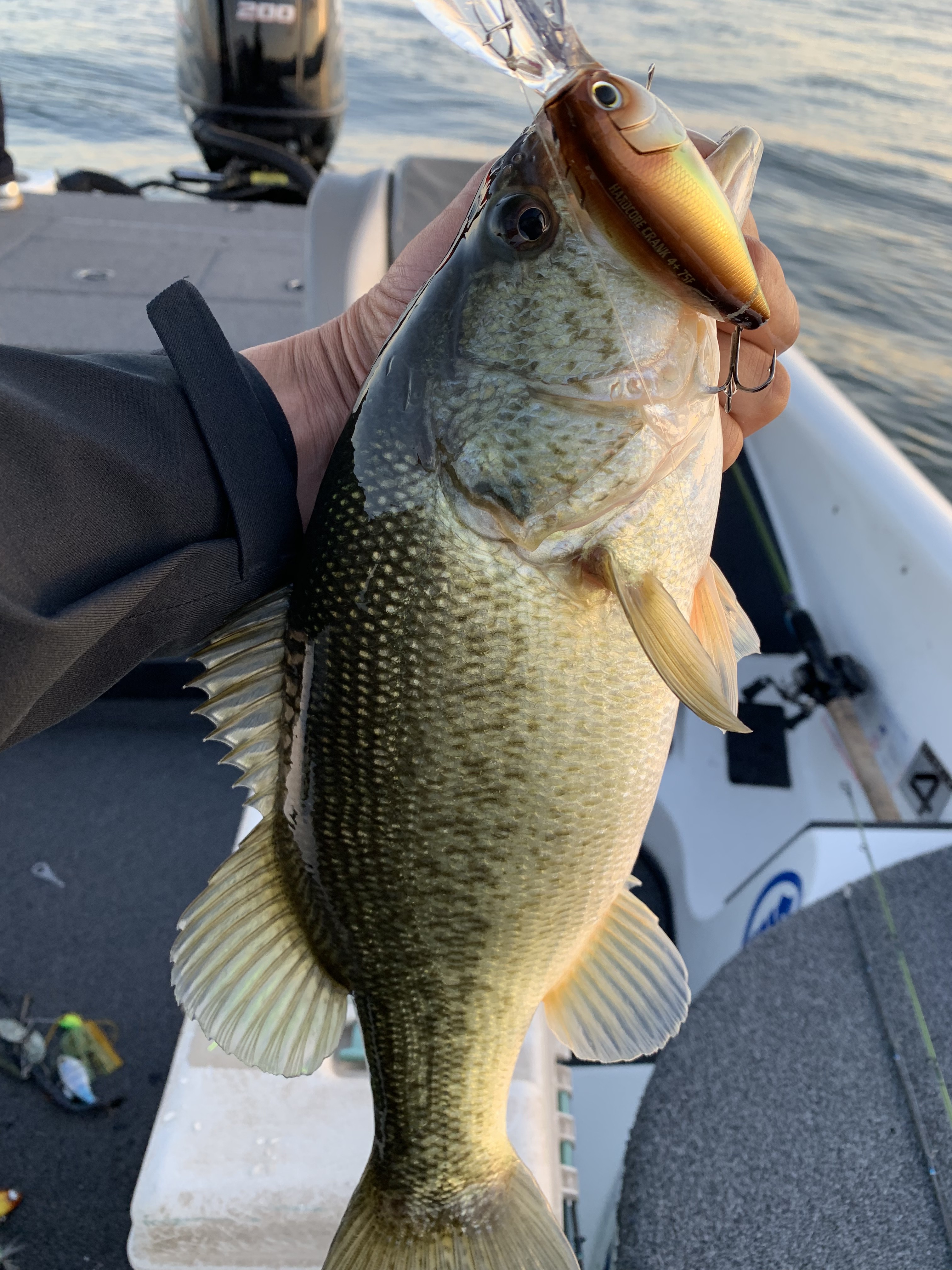 F96A52AC-7355-4CF8-8058-FE6AAF40FEF4