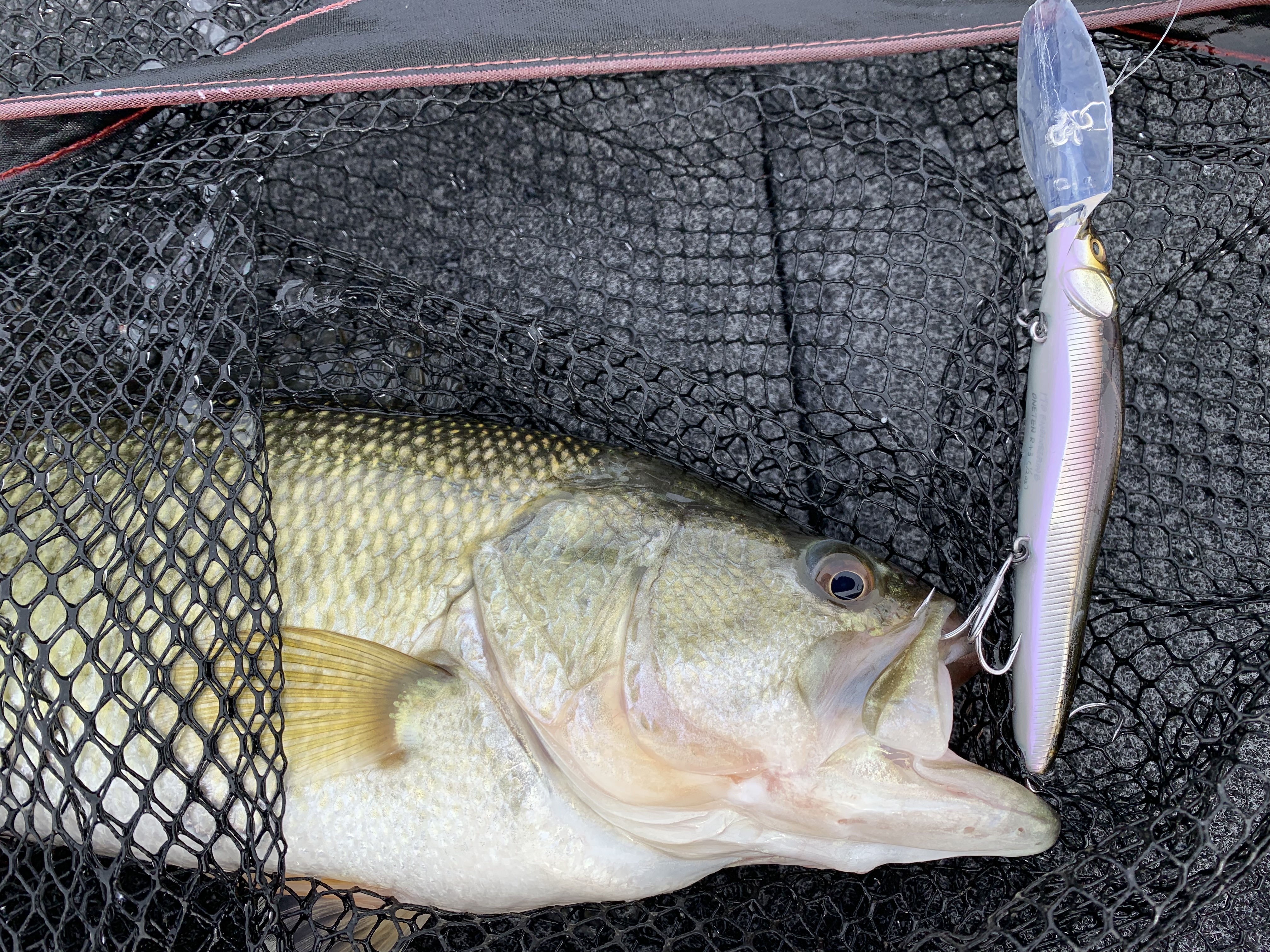 3843FF52-4967-49D4-898F-40659C7A1EA6