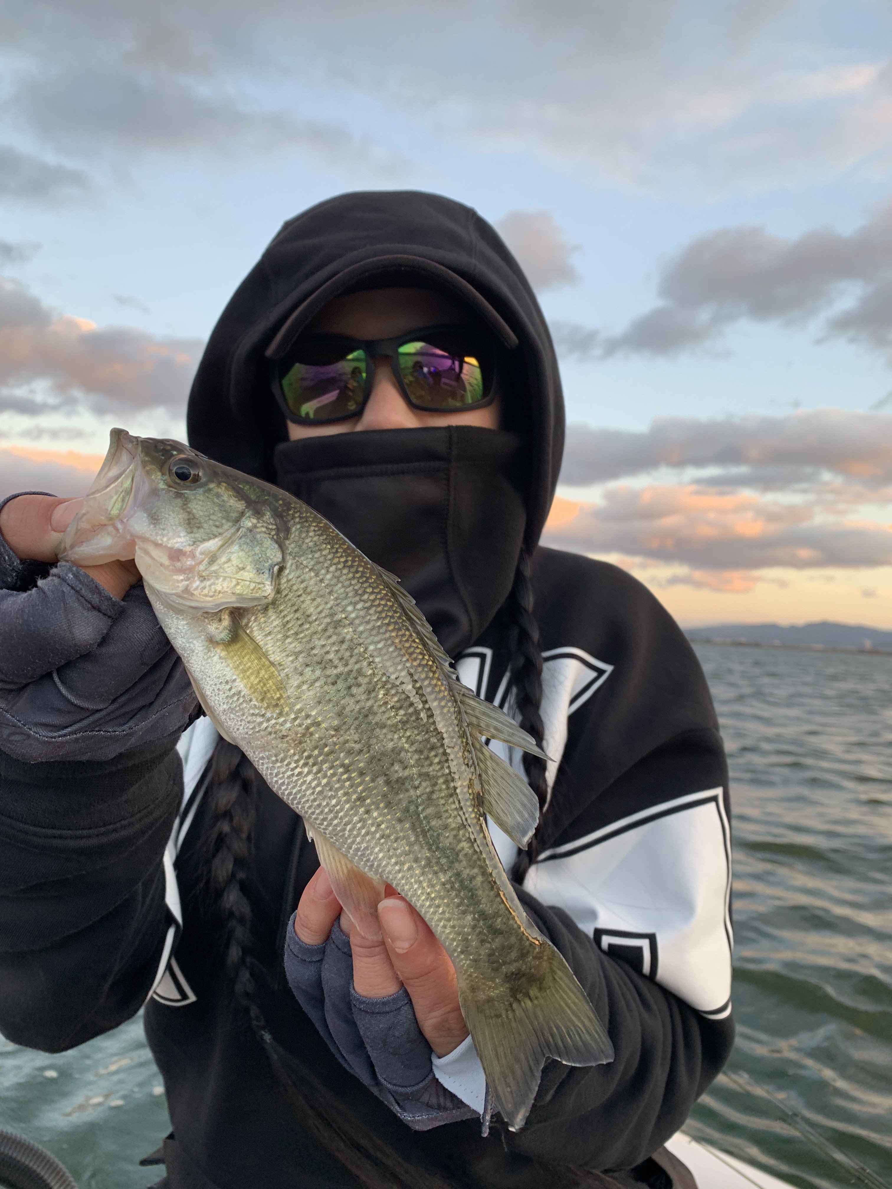 A5C24E4A-46F1-4DFD-831C-06E6A85FB3BB