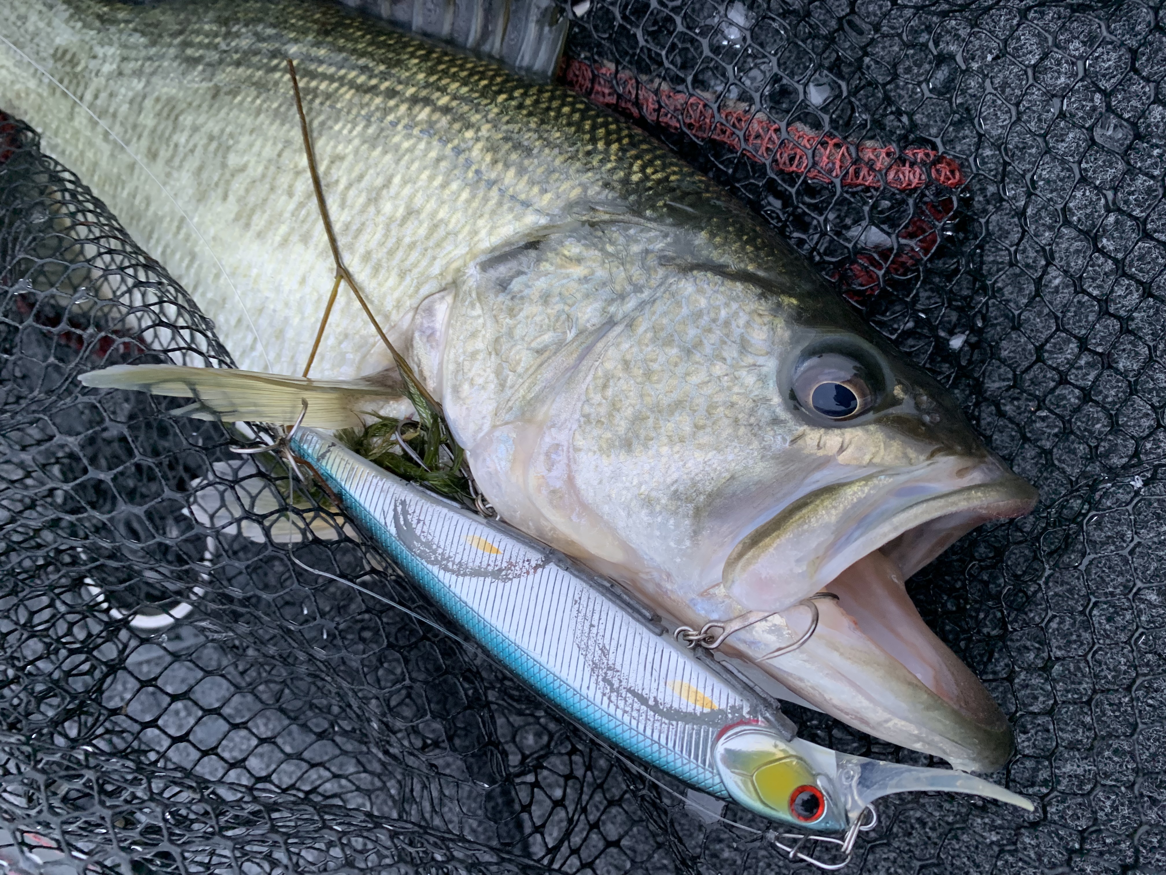 B1454ED6-833B-4E30-AAC0-35AF5CAEB080