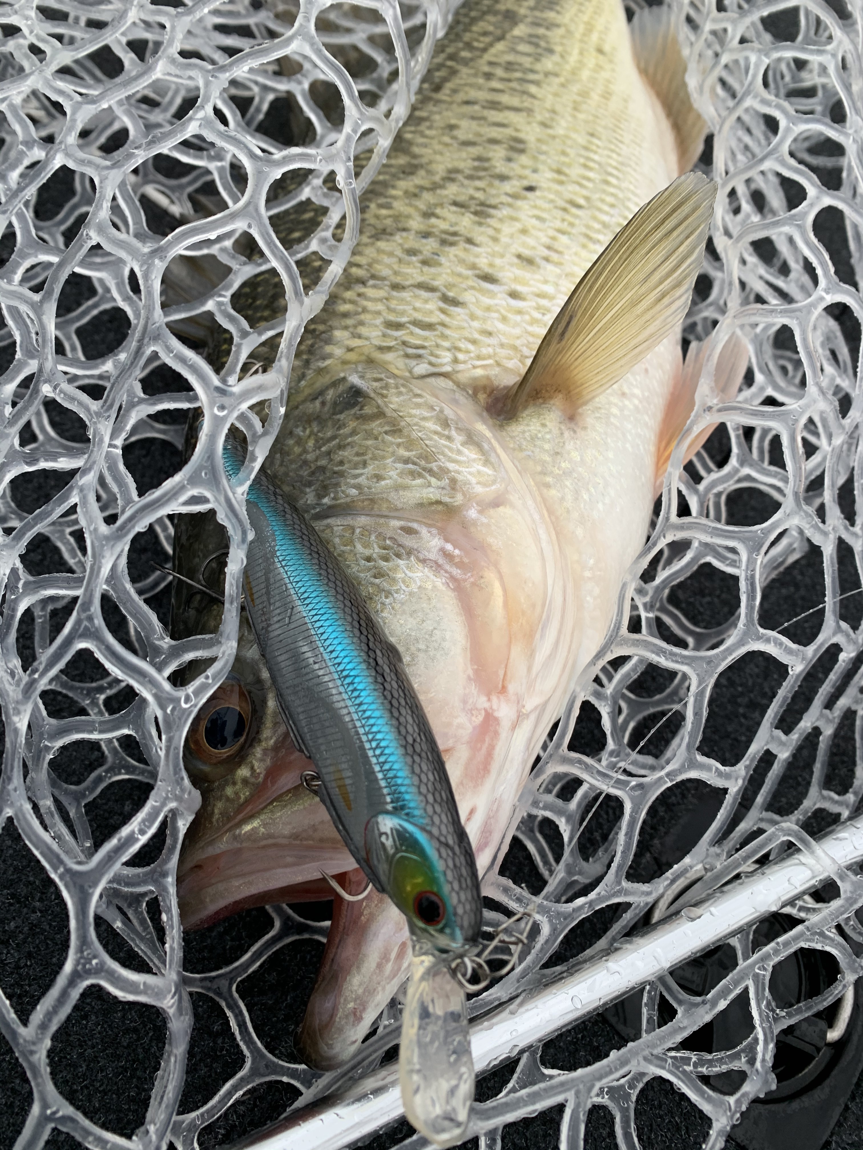 48DD9D9D-D843-4F74-9F6C-B1B5741C9C09