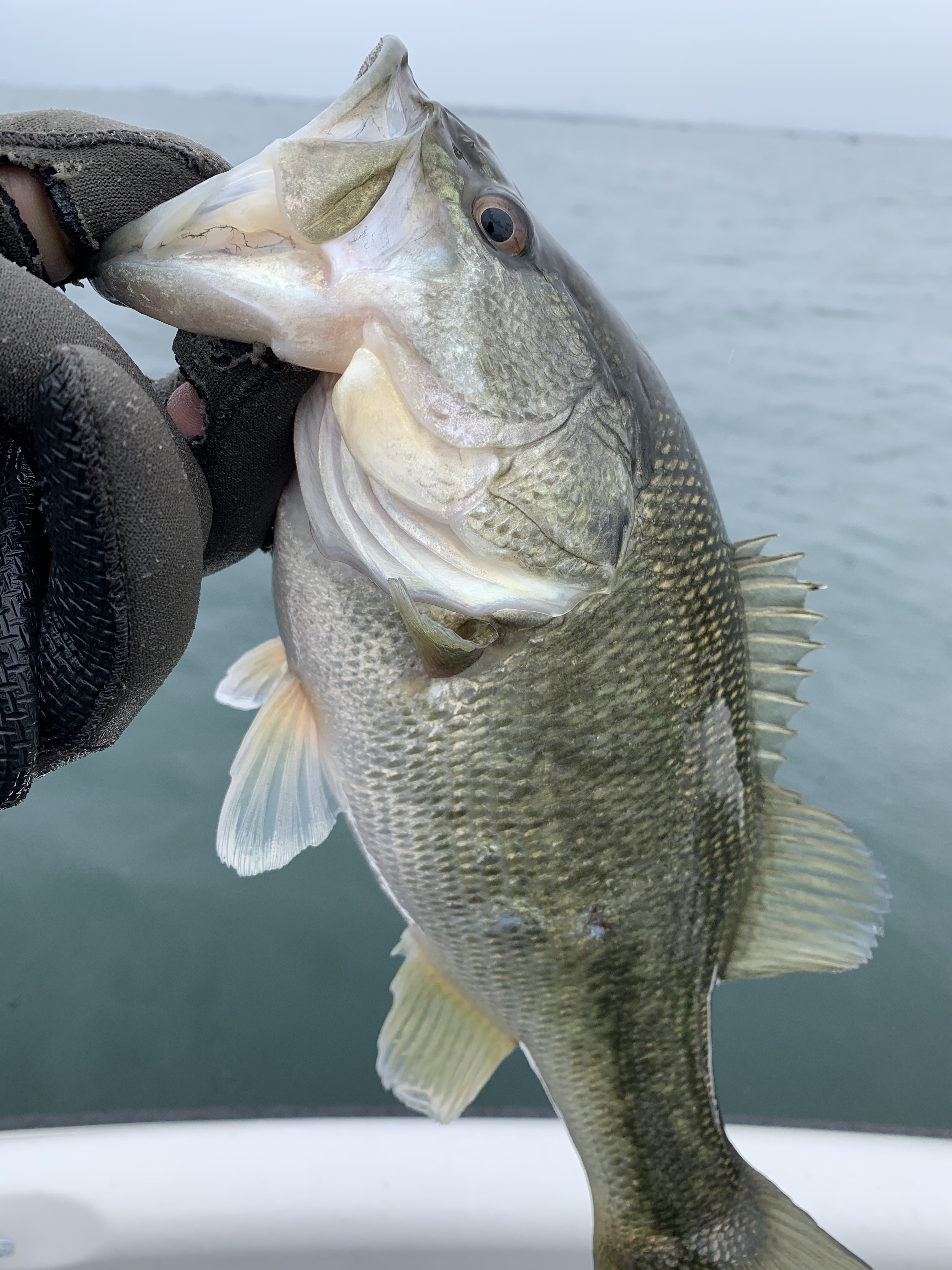 4AE97098-C9C9-4304-8C24-8E1D7712E506