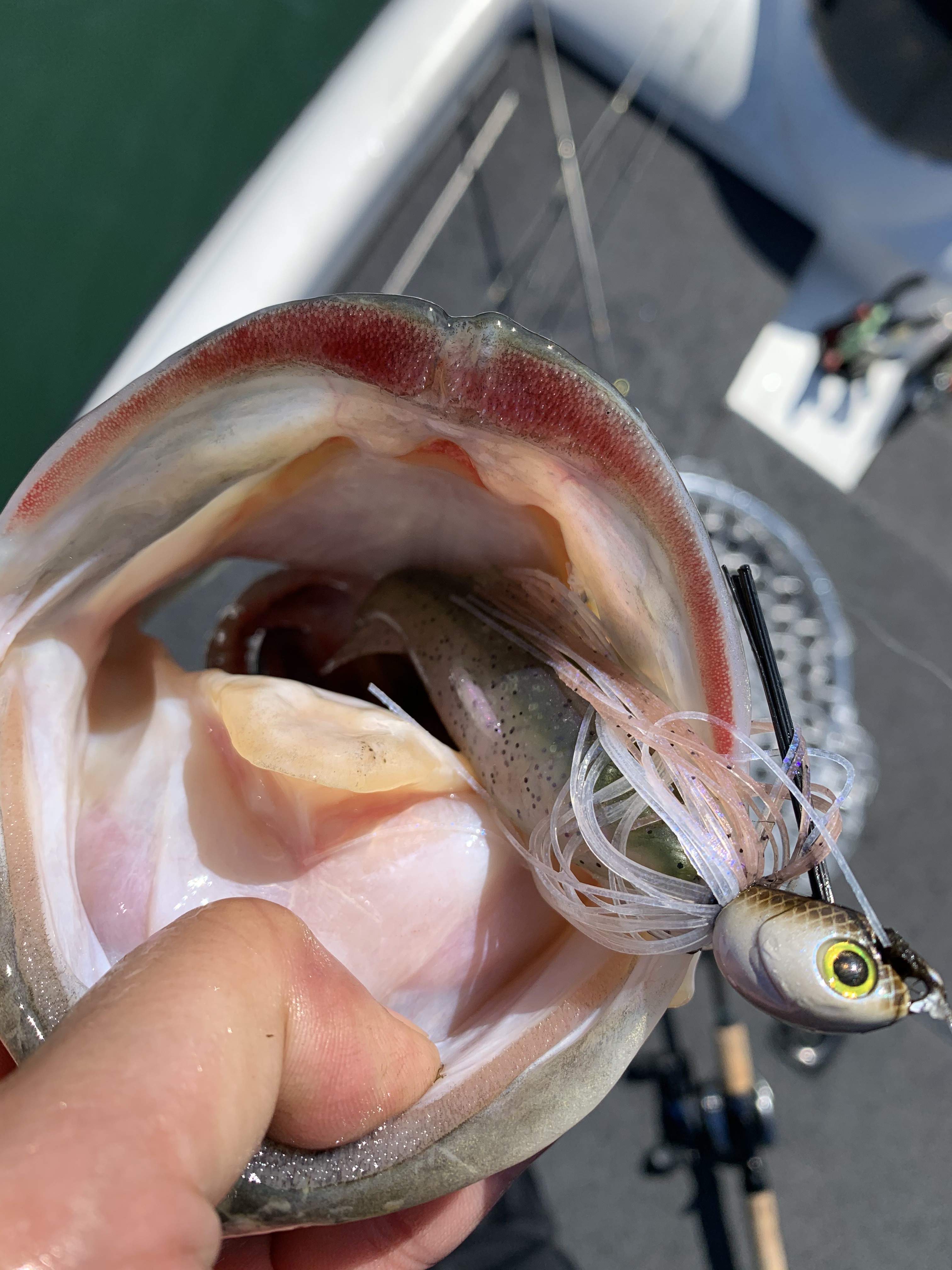 908B002F-40E6-44FA-BC3F-5B405B8189FD