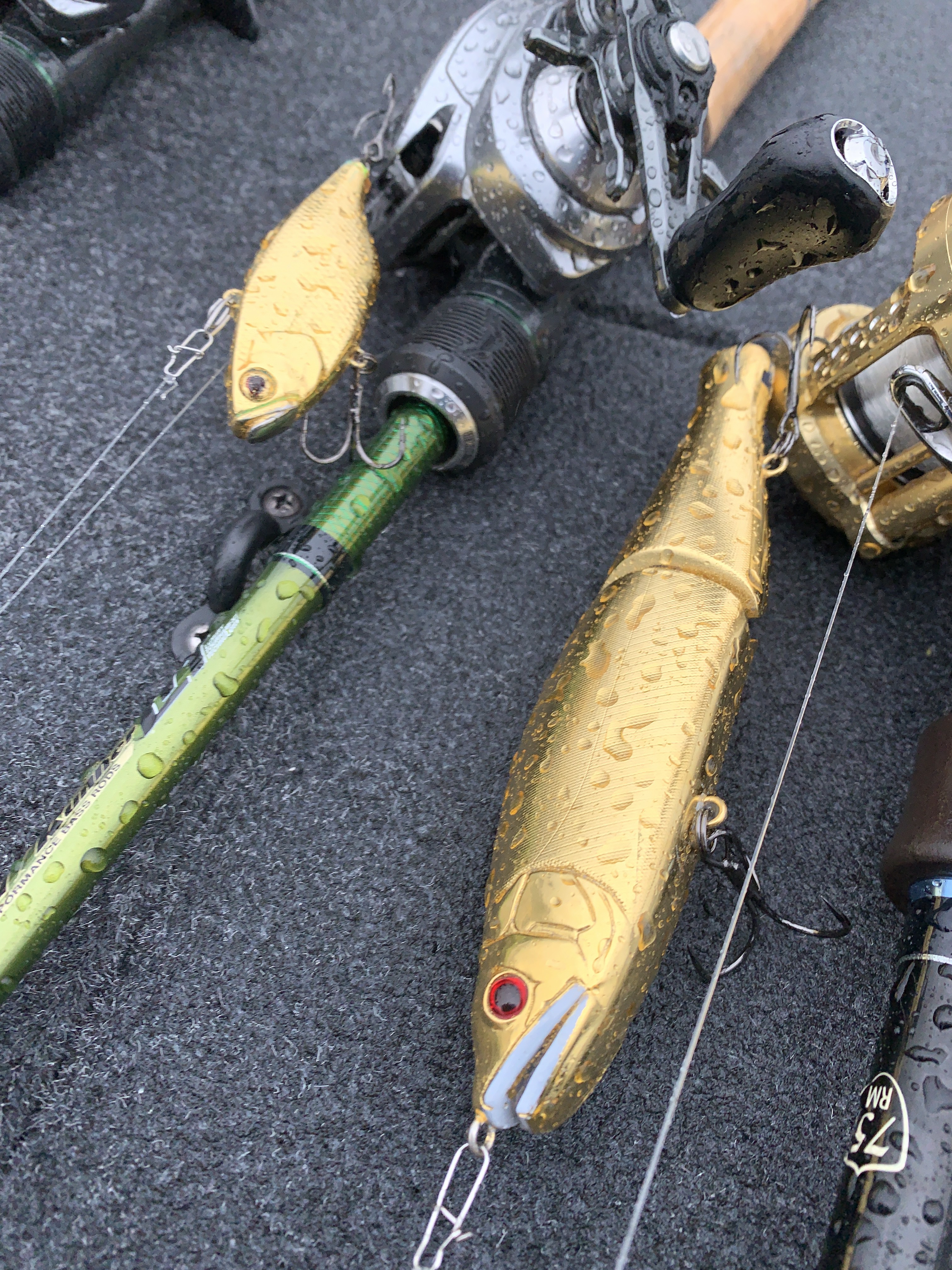 92184911-5118-4ED7-91CE-6DFB0BCFEE05