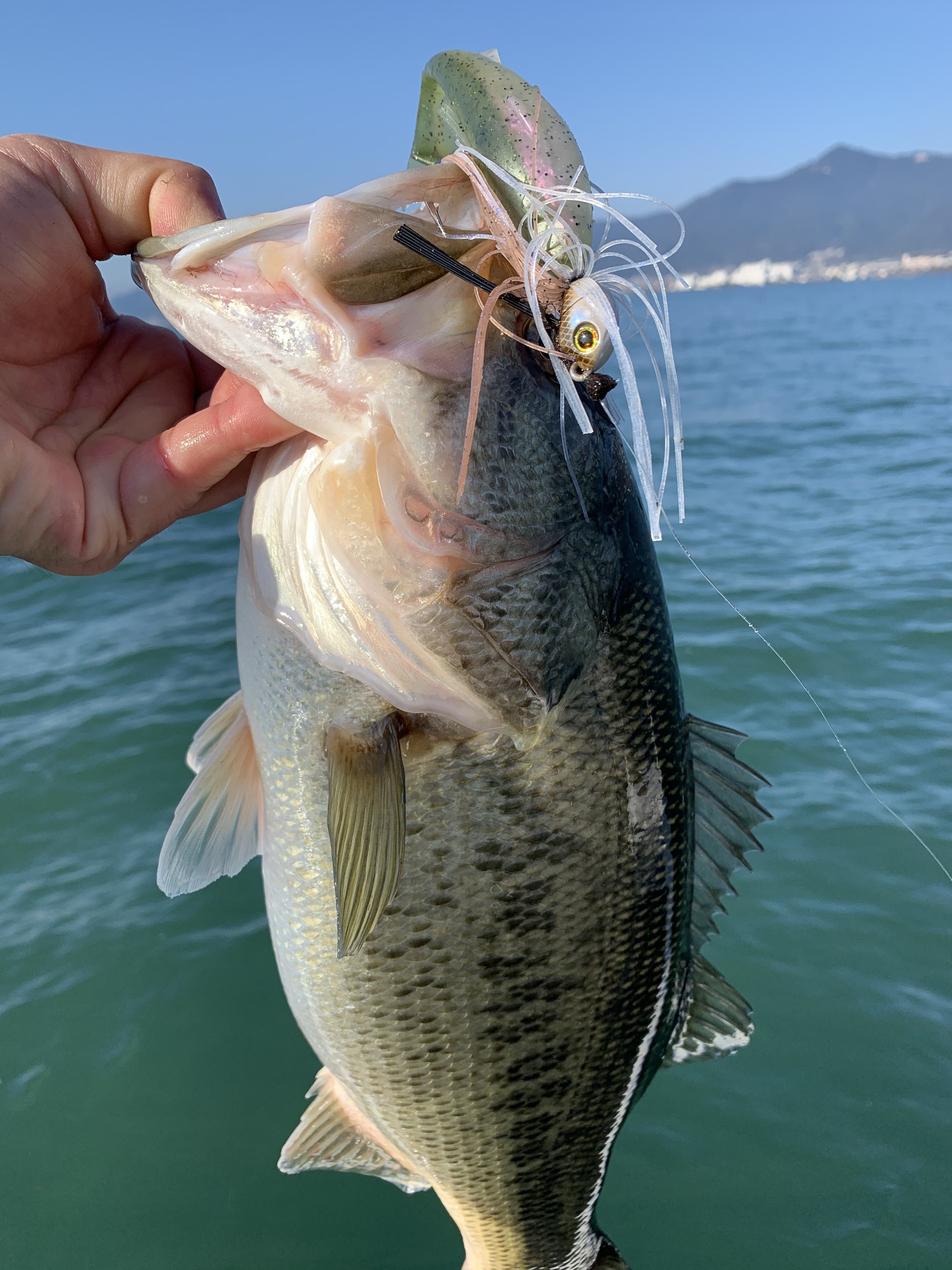 CB3CE39C-F803-4B62-B511-541B288BB96D