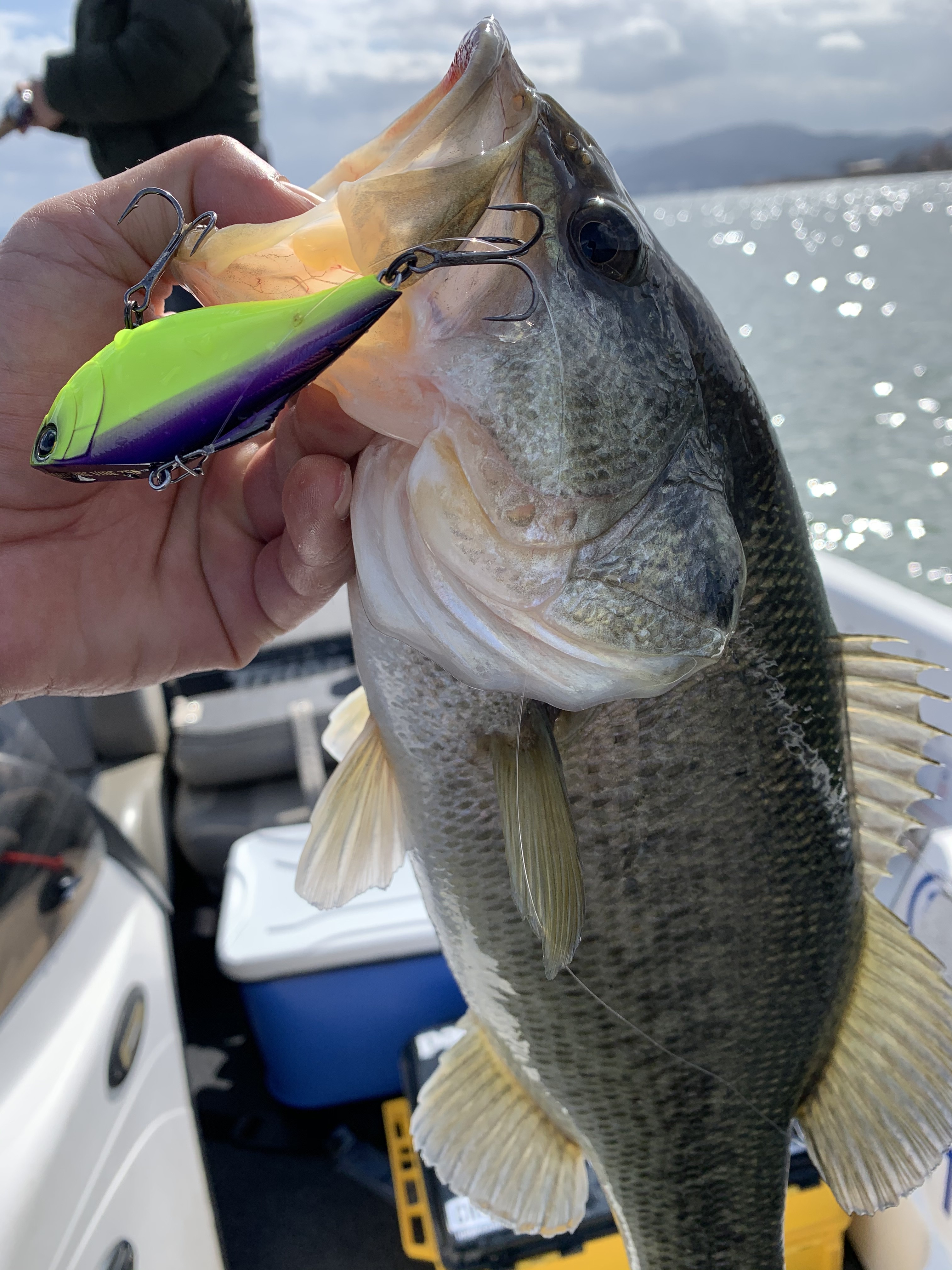 F5FA3C45-1272-429E-98CC-DFCFC679E365