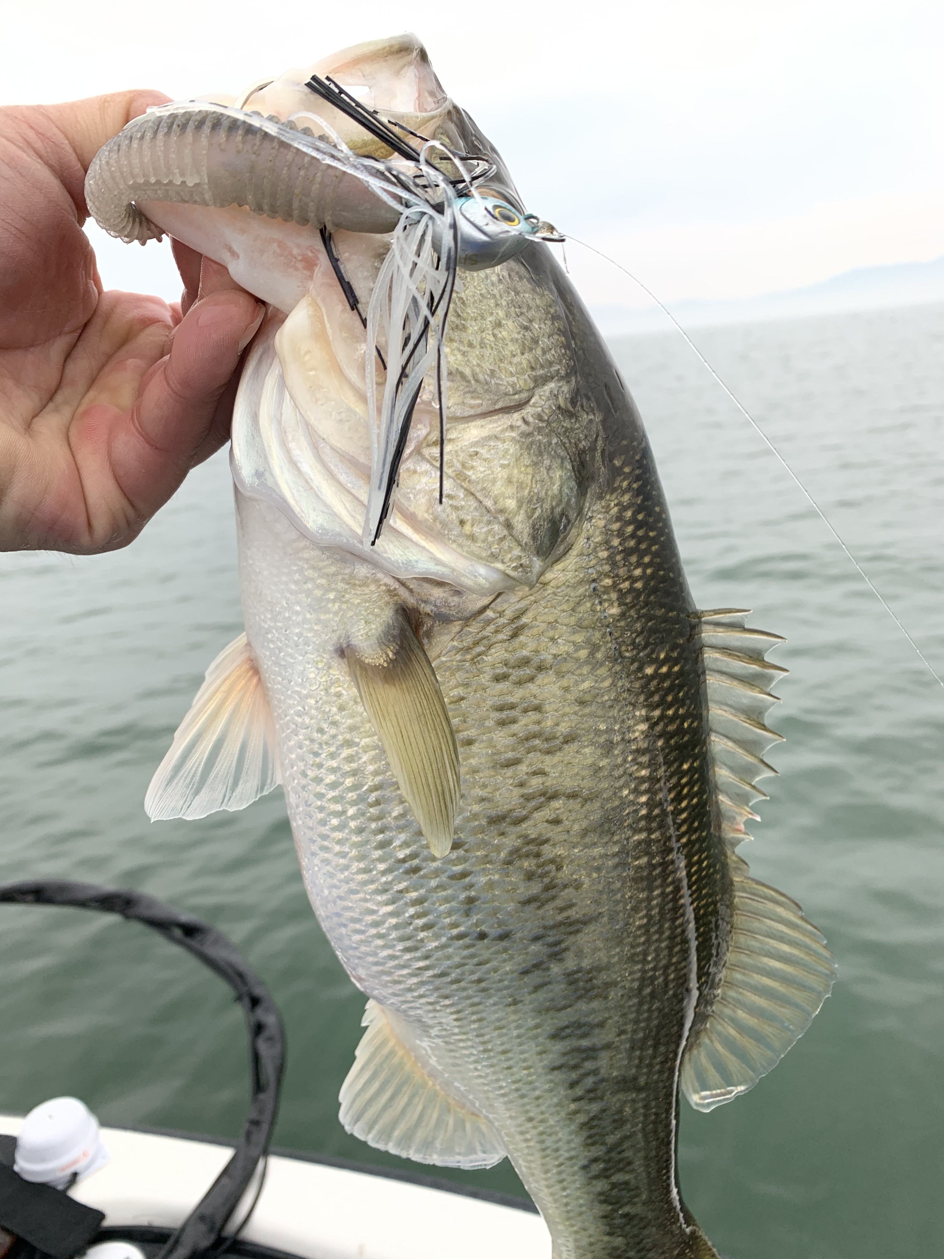 22905551-CE30-46C3-84C1-635FD0FEAFA9