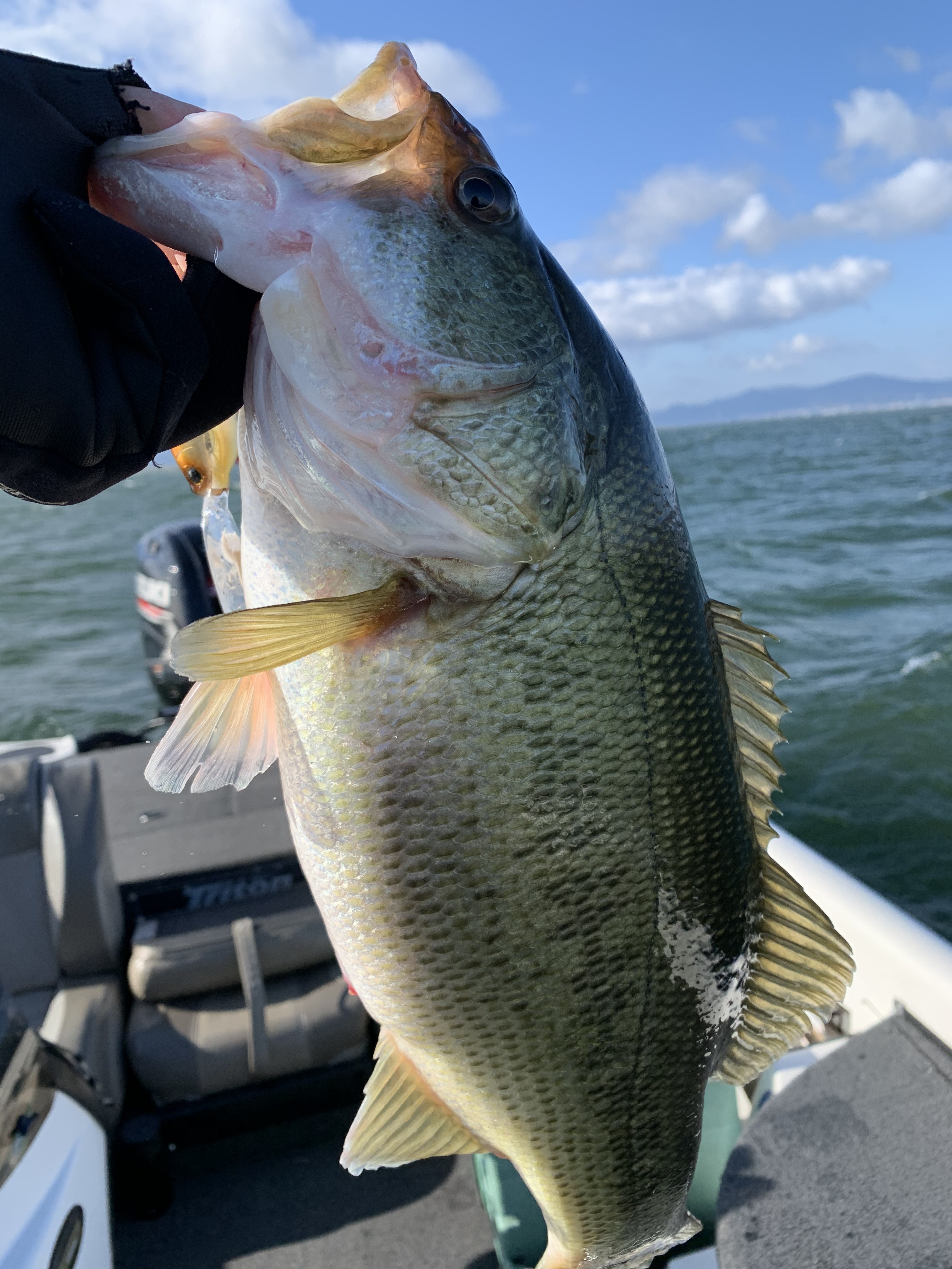 381B7B5F-D4E8-4003-9FBE-547D7C8BEE38