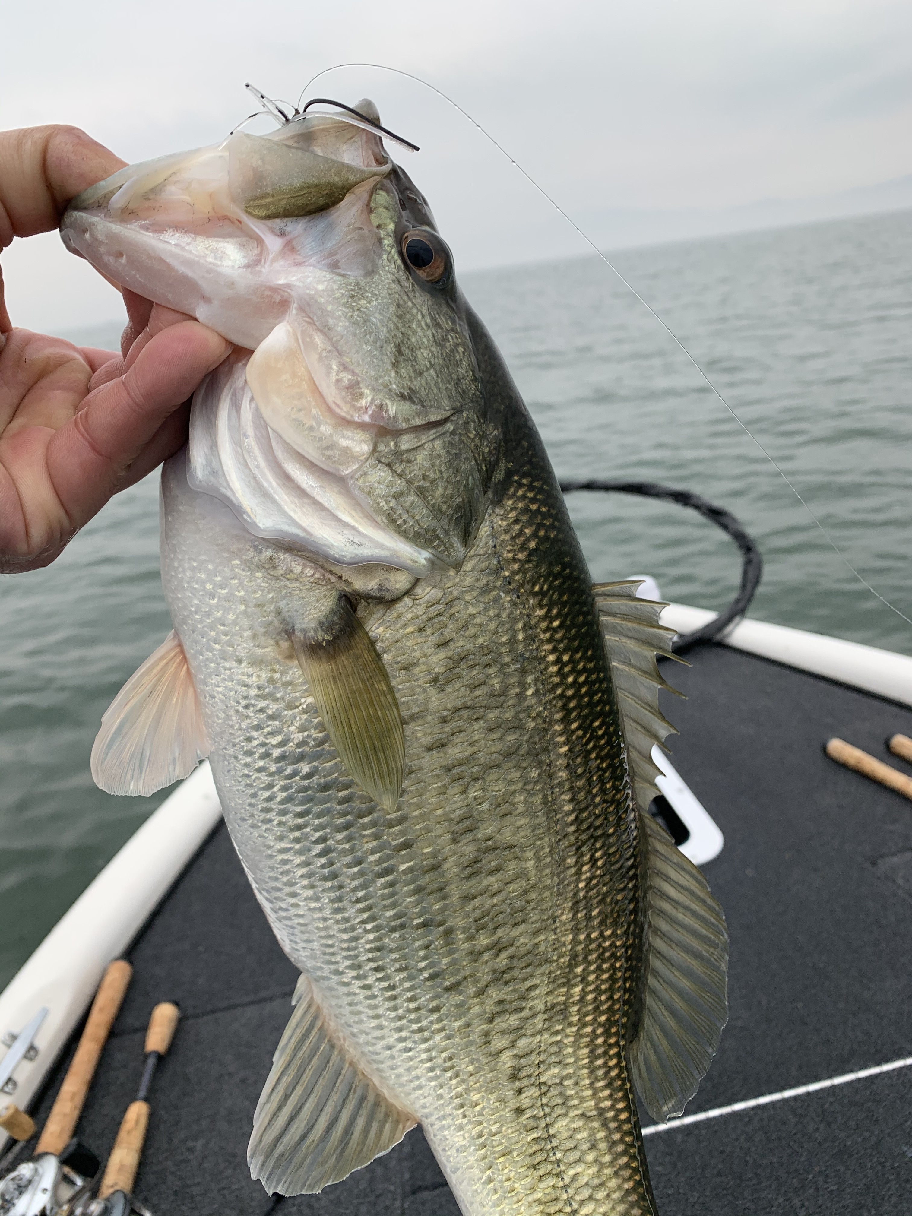 4EF50988-E5DC-4D7D-A0B9-7F4AAECE36AB