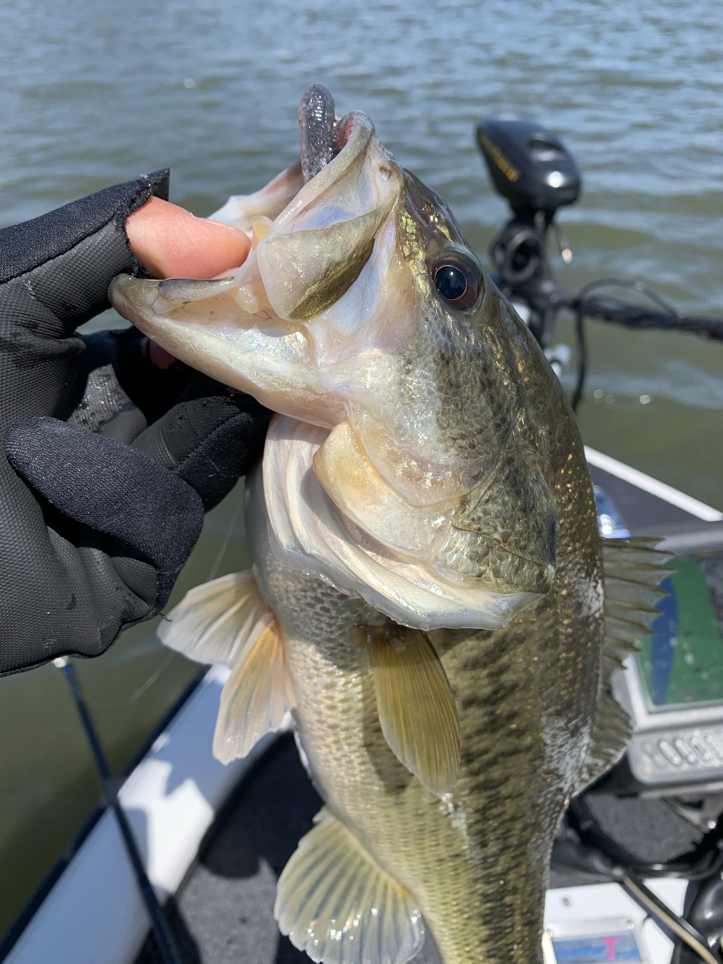 64C6B6C9-2ECA-451D-A401-9F999618C1D0