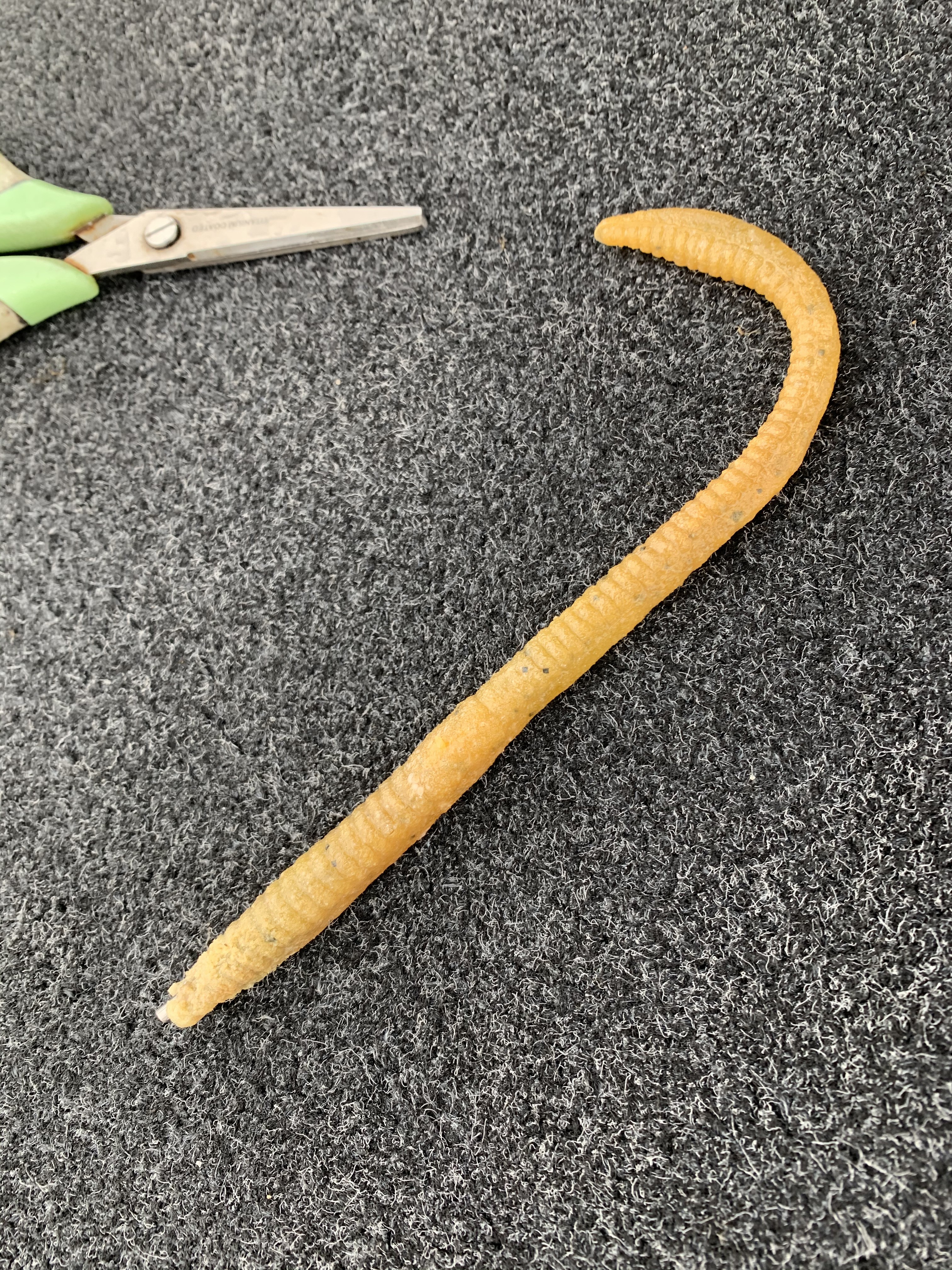 7B47B9FB-E020-4114-BF47-C557A785FE33