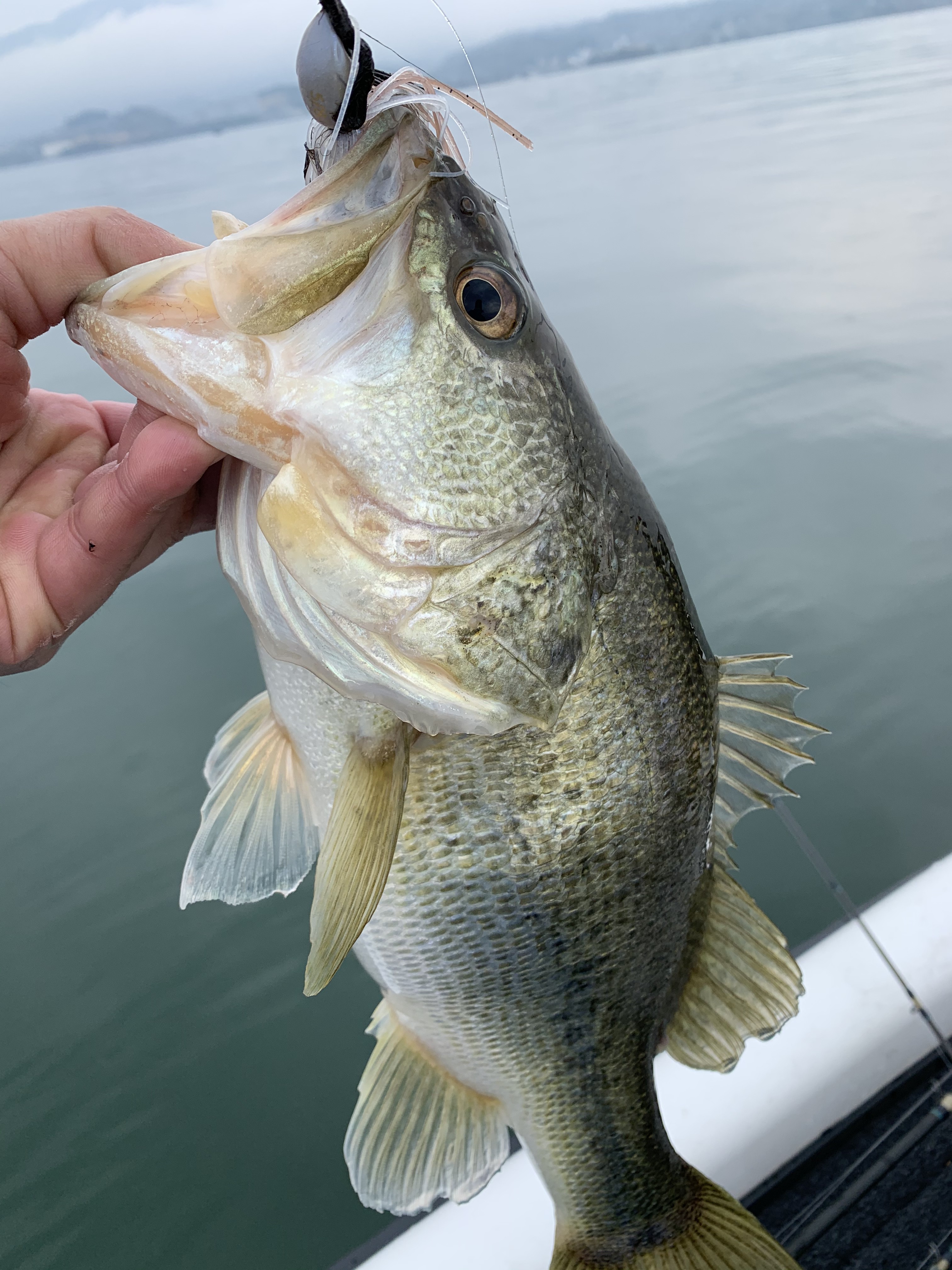 9E6B9165-5761-4AEA-92AF-702FFC0887D5