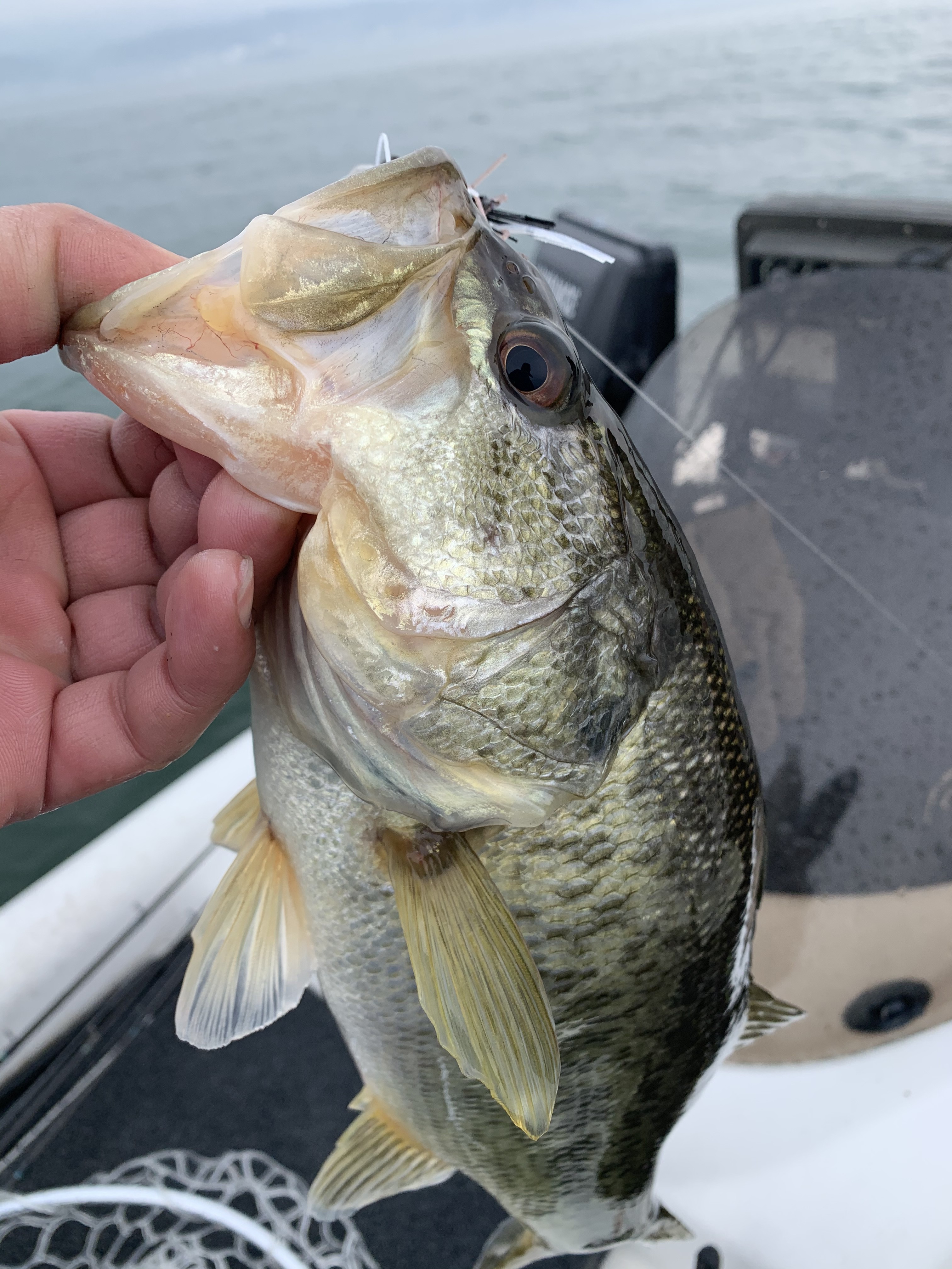 D5F3E02C-BC1E-40B0-A671-BF422FB3025F