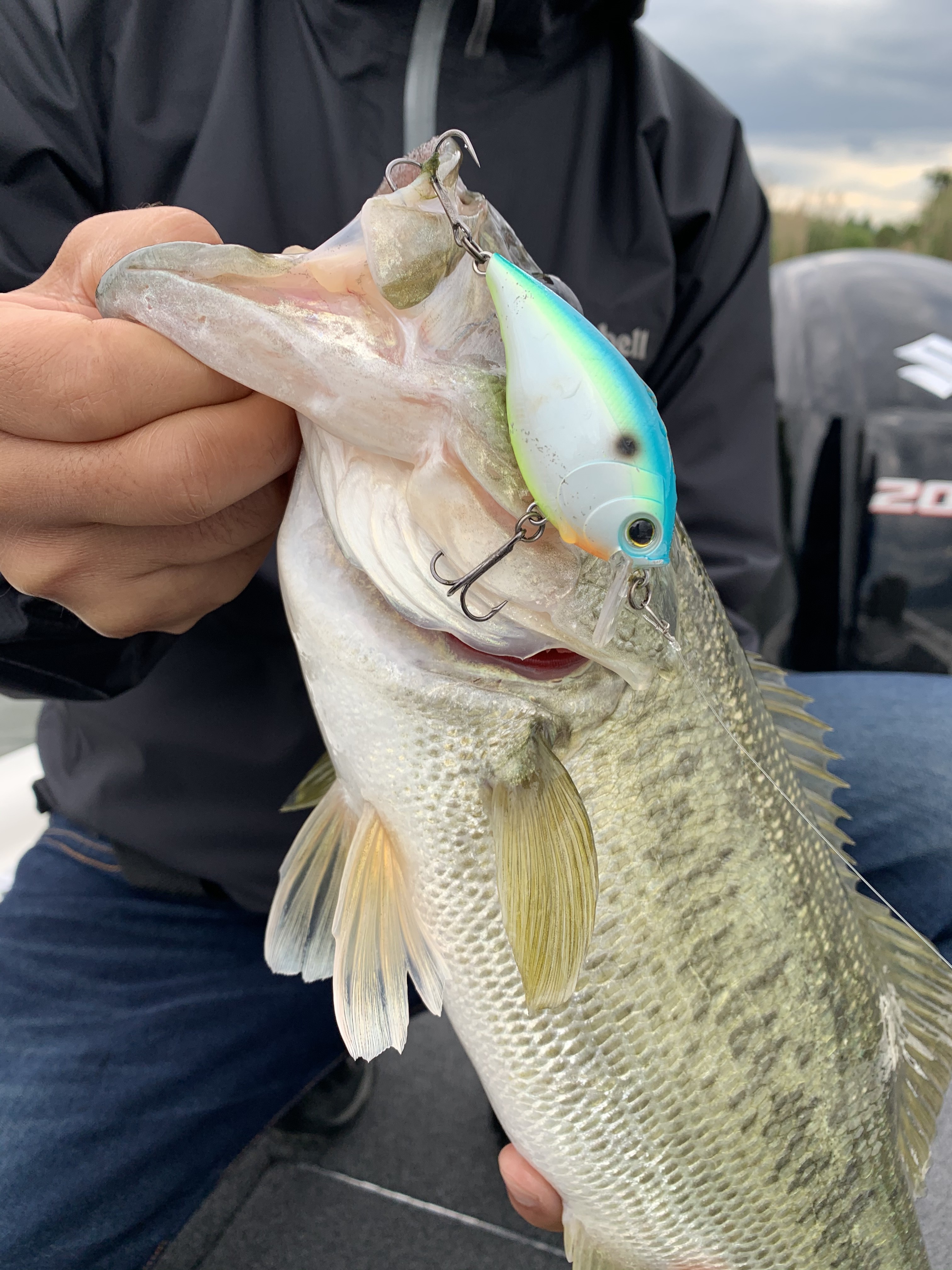 6A77C7C1-F402-4FB7-9780-1B34D6F57914