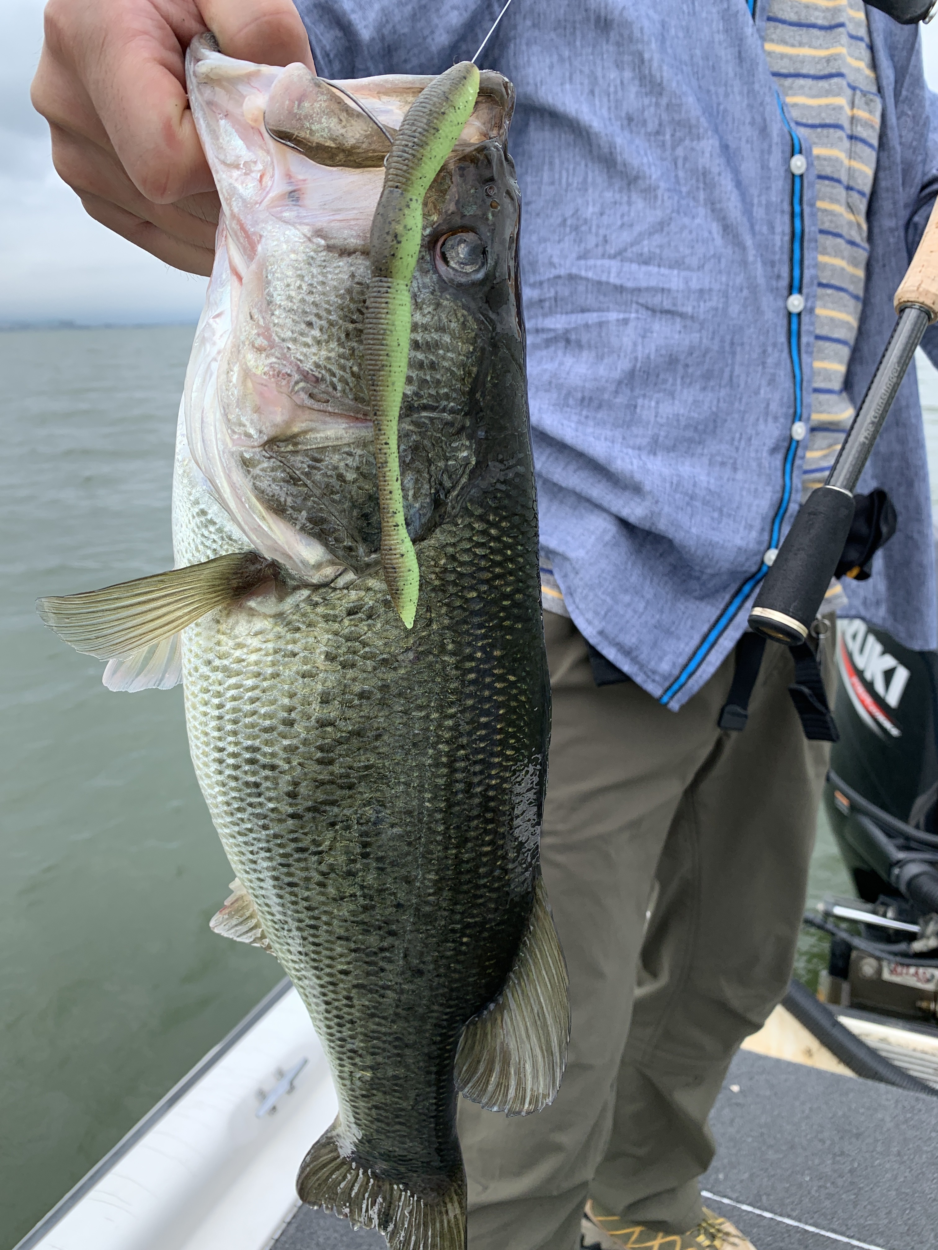 01D55DE2-1E9B-4F65-B59C-3C367EBC52C2