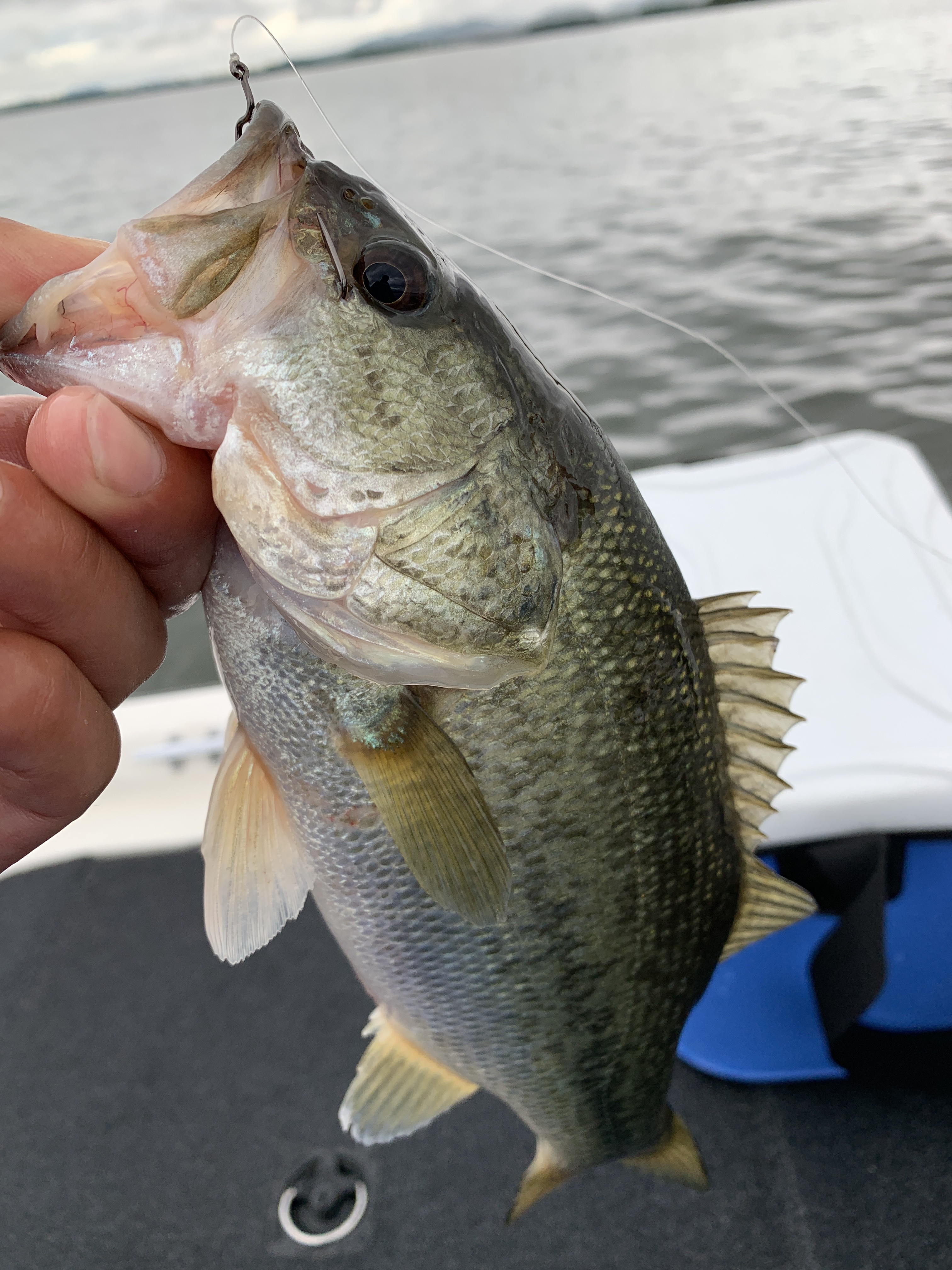 05C5AD1D-2D8B-4336-B956-27031E295763