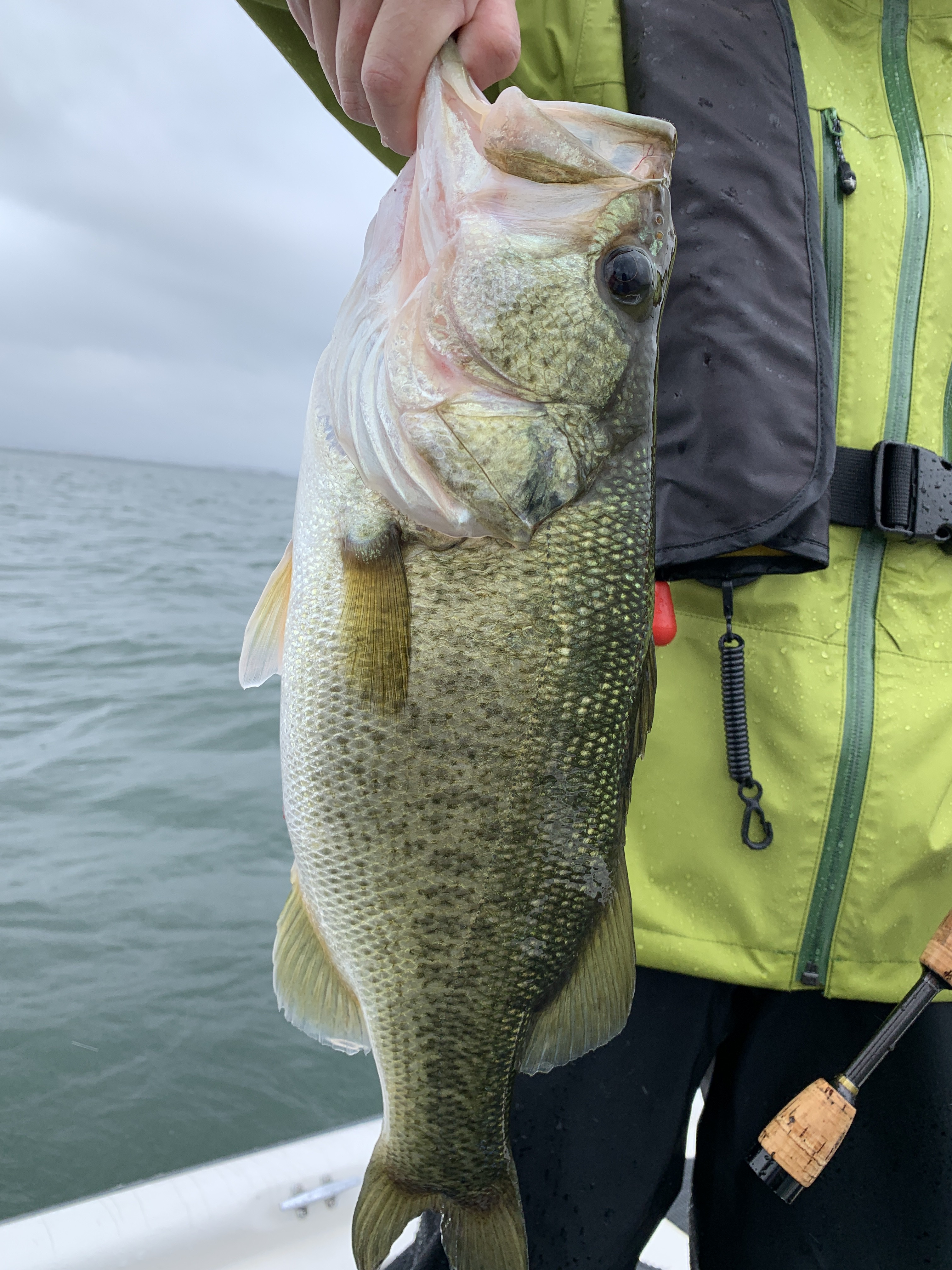 0B1F20DD-D941-41DB-ABD4-5D30D8DC8F57