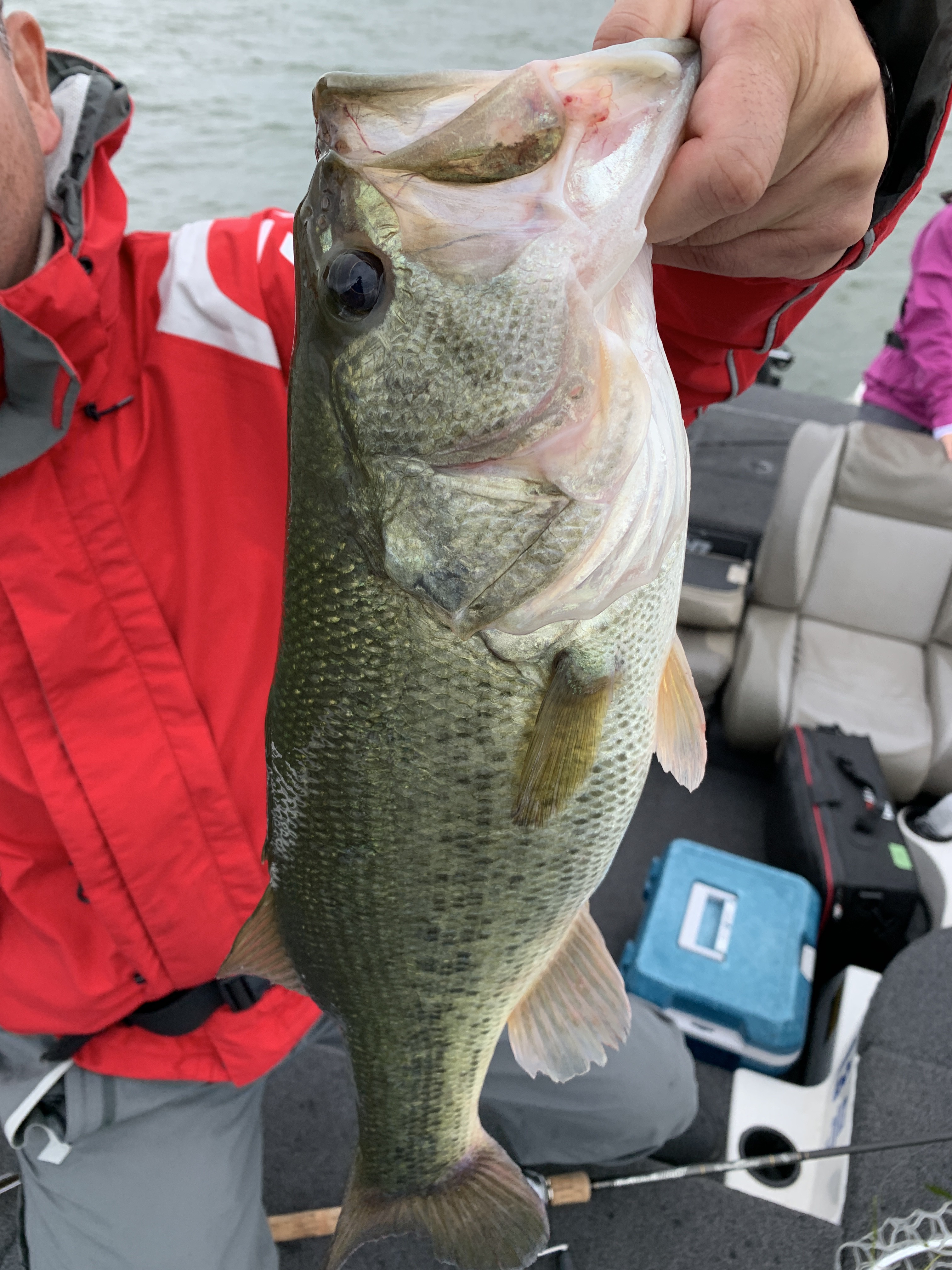 0BB24BD9-A268-4B21-B831-FBCE469F1135