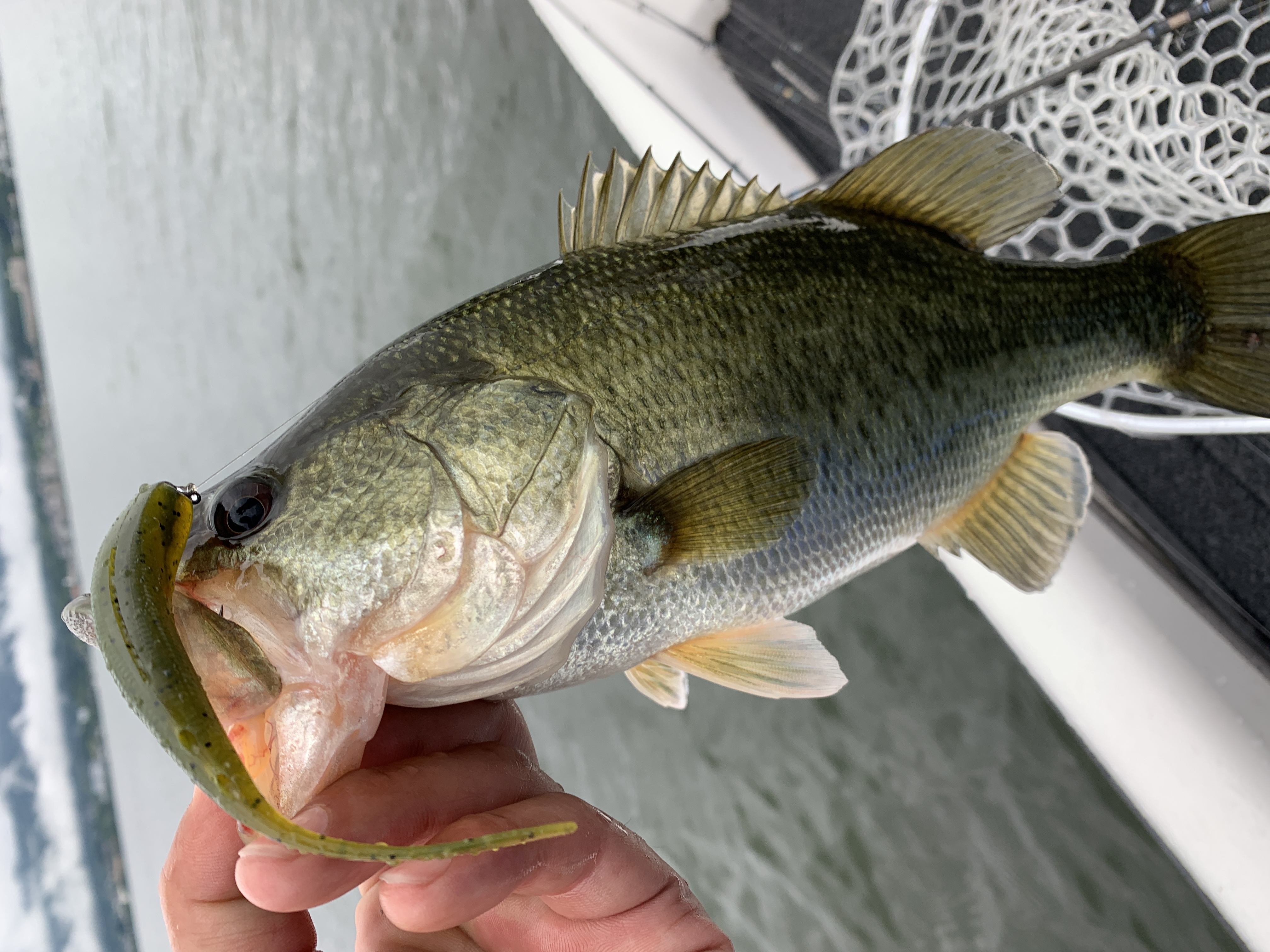 0D157FDD-7D23-4410-B1D6-F83CCF156C78