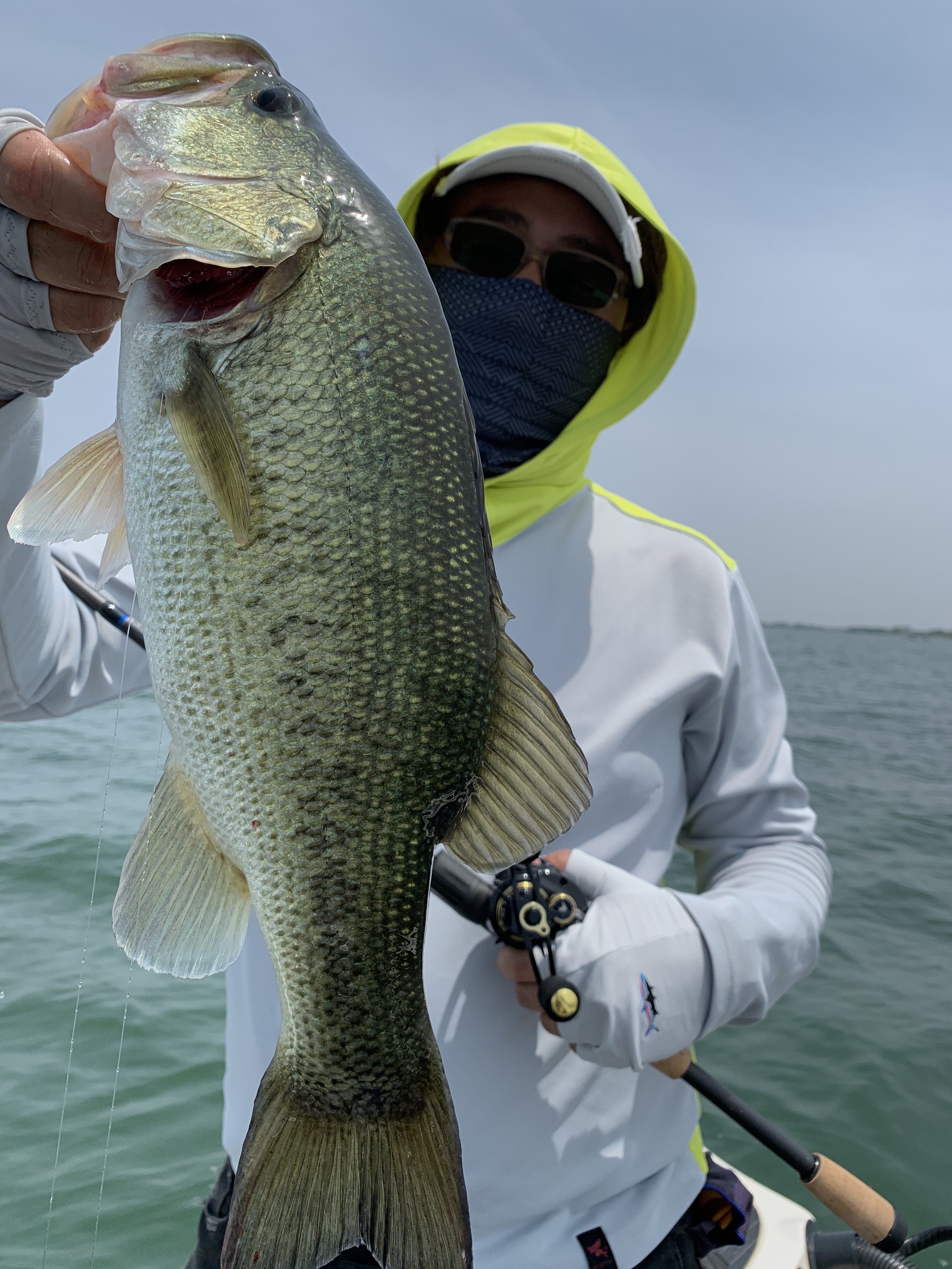 24079BEE-36AB-4284-B095-27896E4B5659