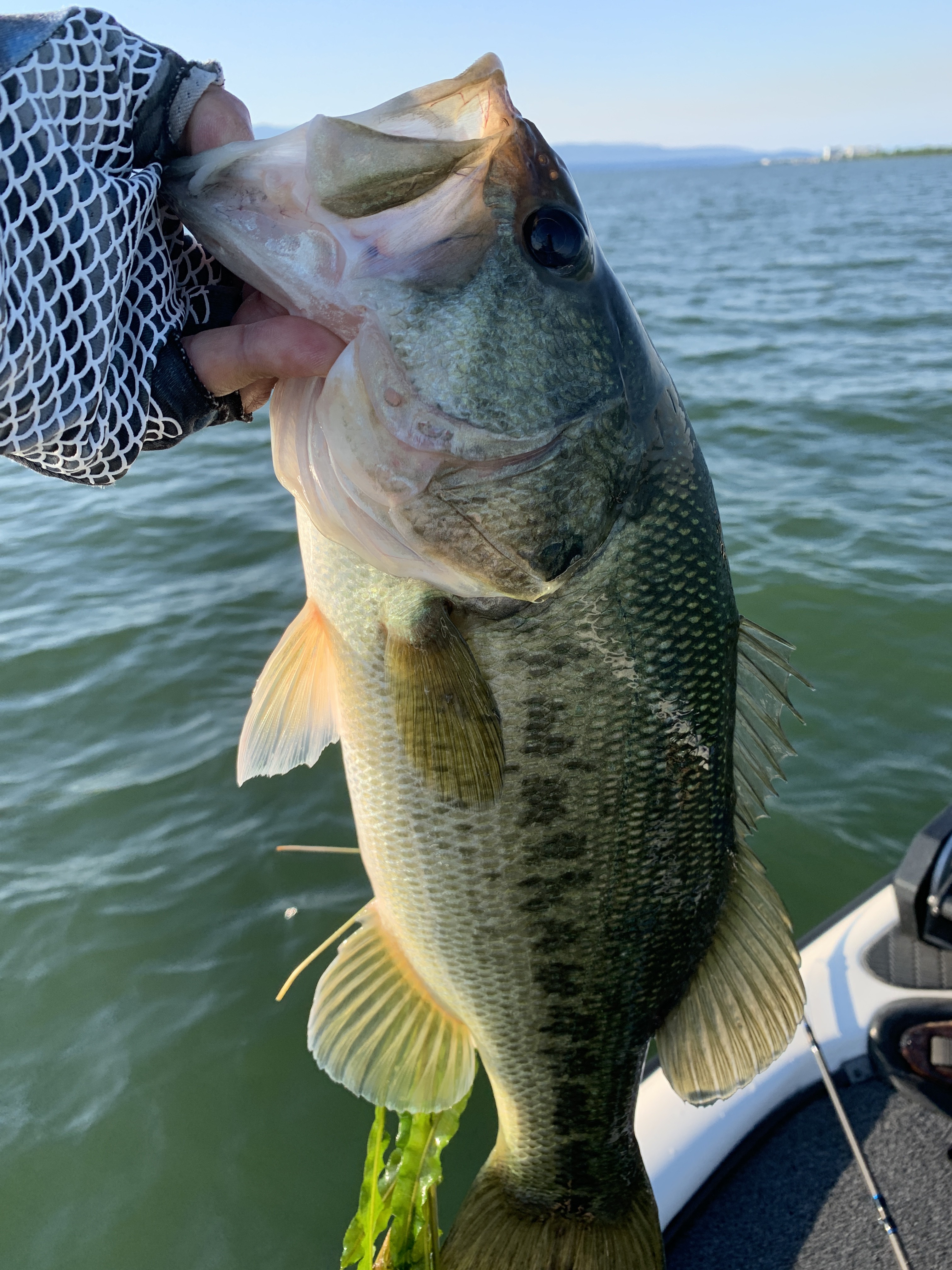 35A87EA3-41CD-4227-82D3-6F6712206CAE