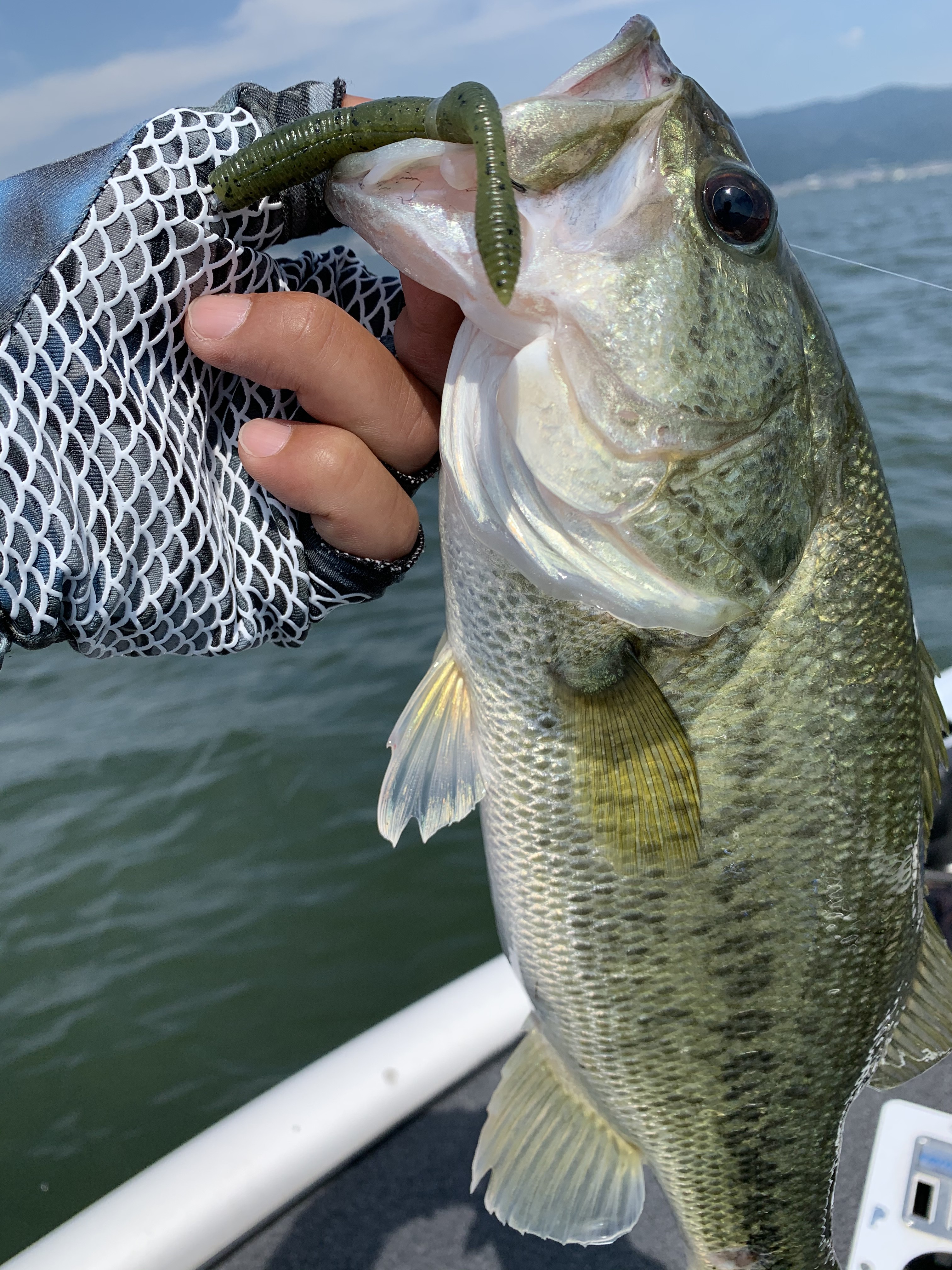 39F077CF-67E2-488D-AD86-EE32F982CFB4