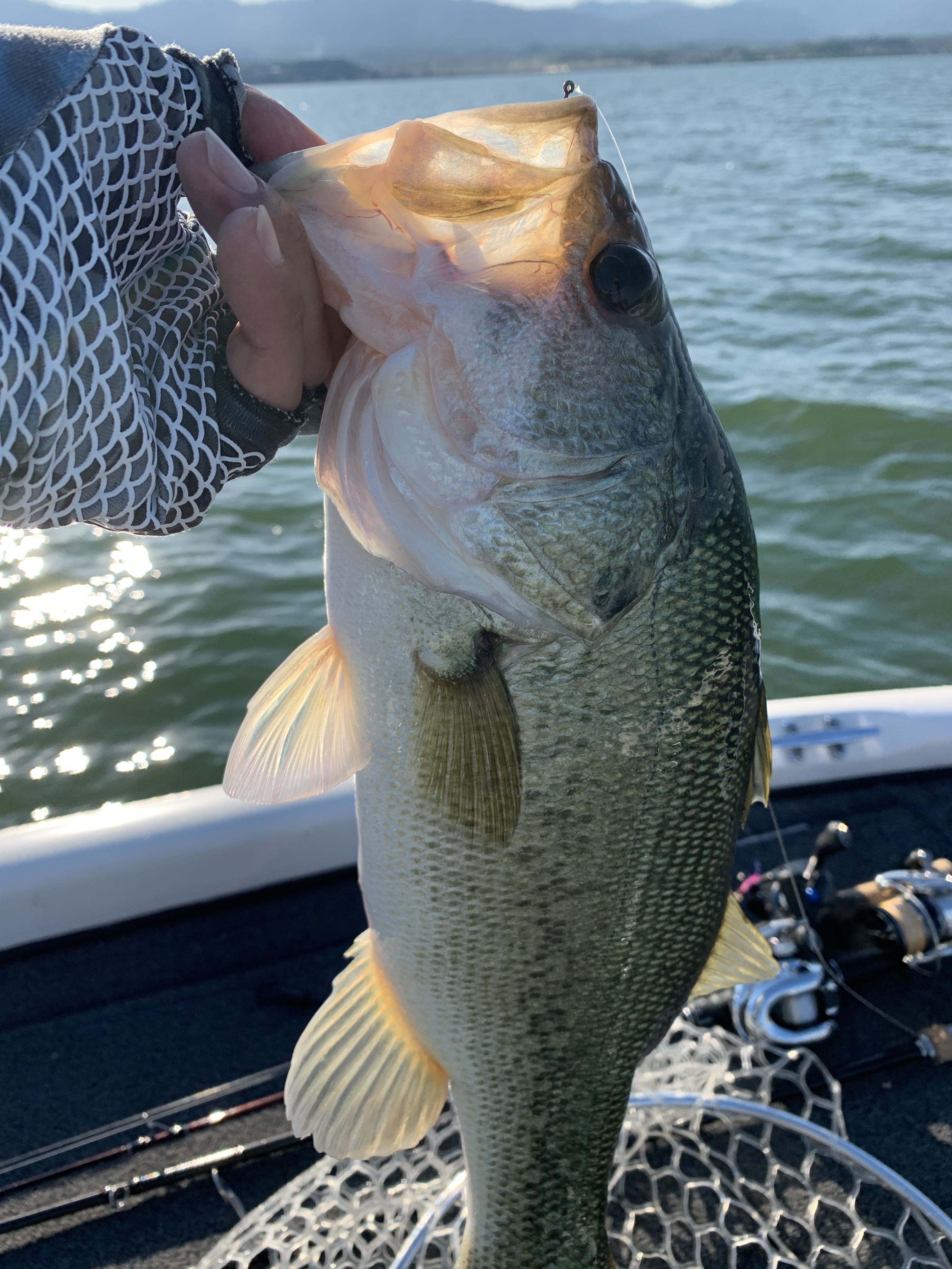 3C26B5F1-E45A-4EC4-A3EF-59B8913A1BC7