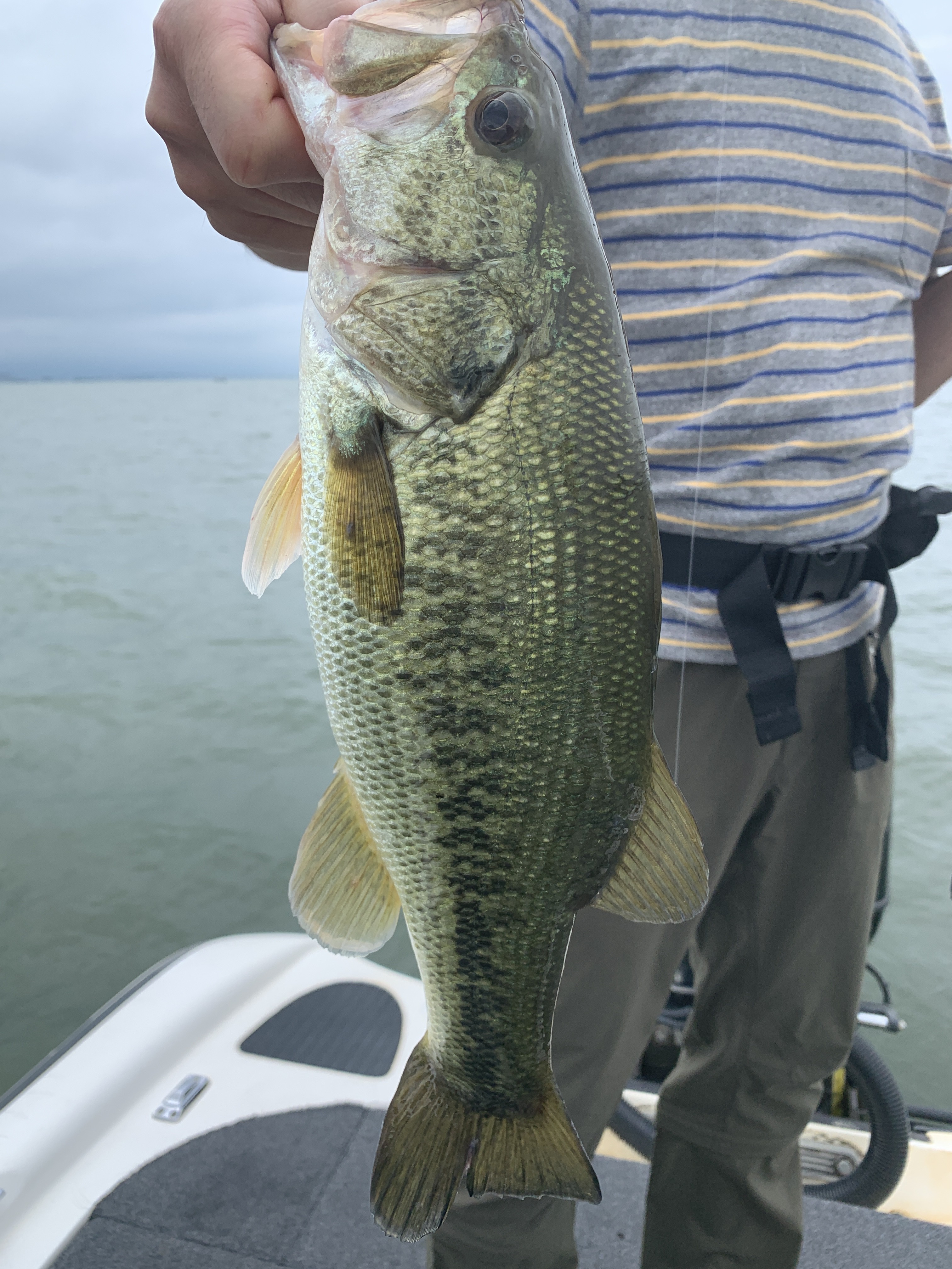 3EFBB82B-E60F-4C49-B7C4-43617508B1D5