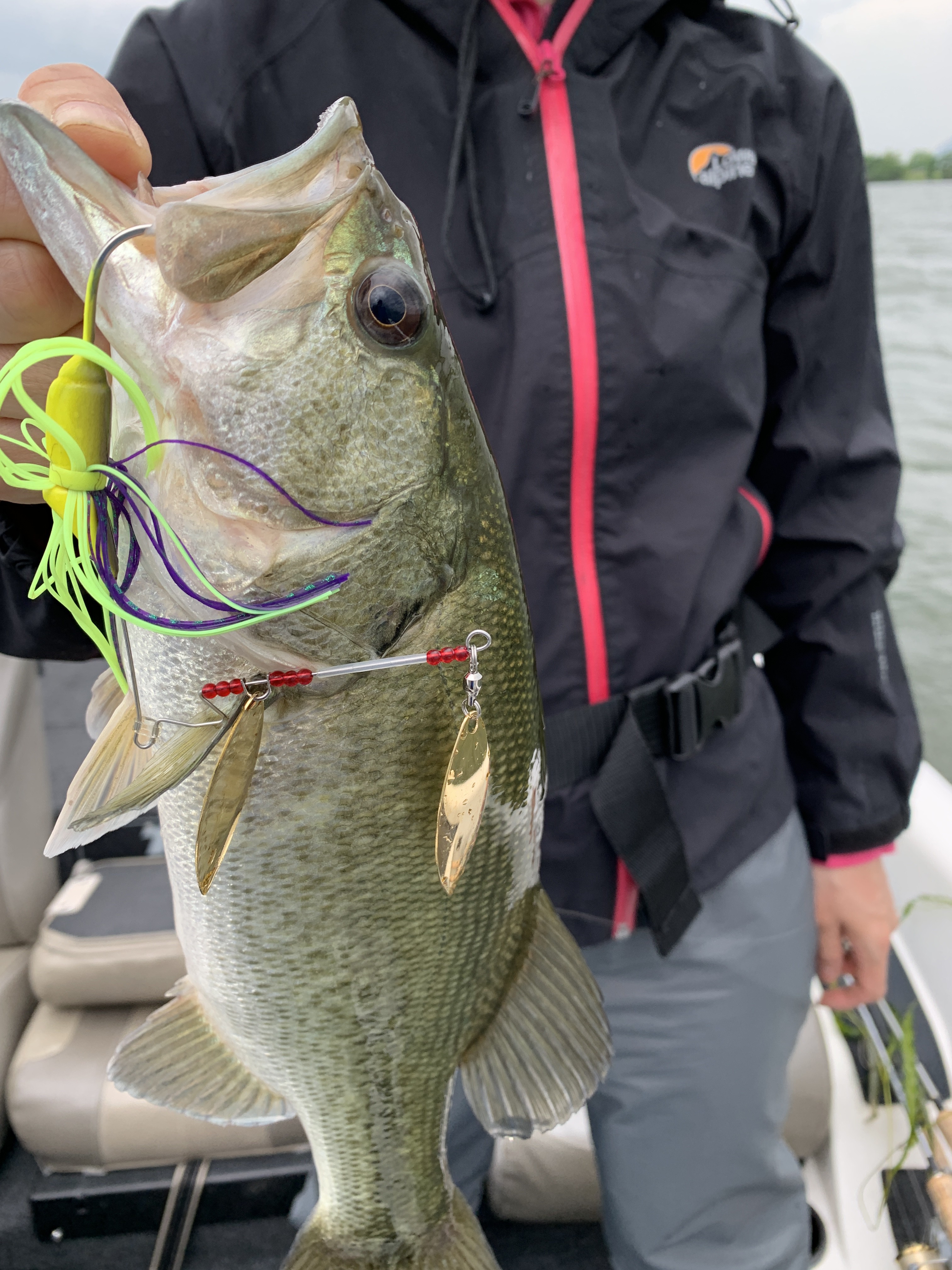 528DB7B7-1D5D-4601-9BAB-CA470C47D1C3