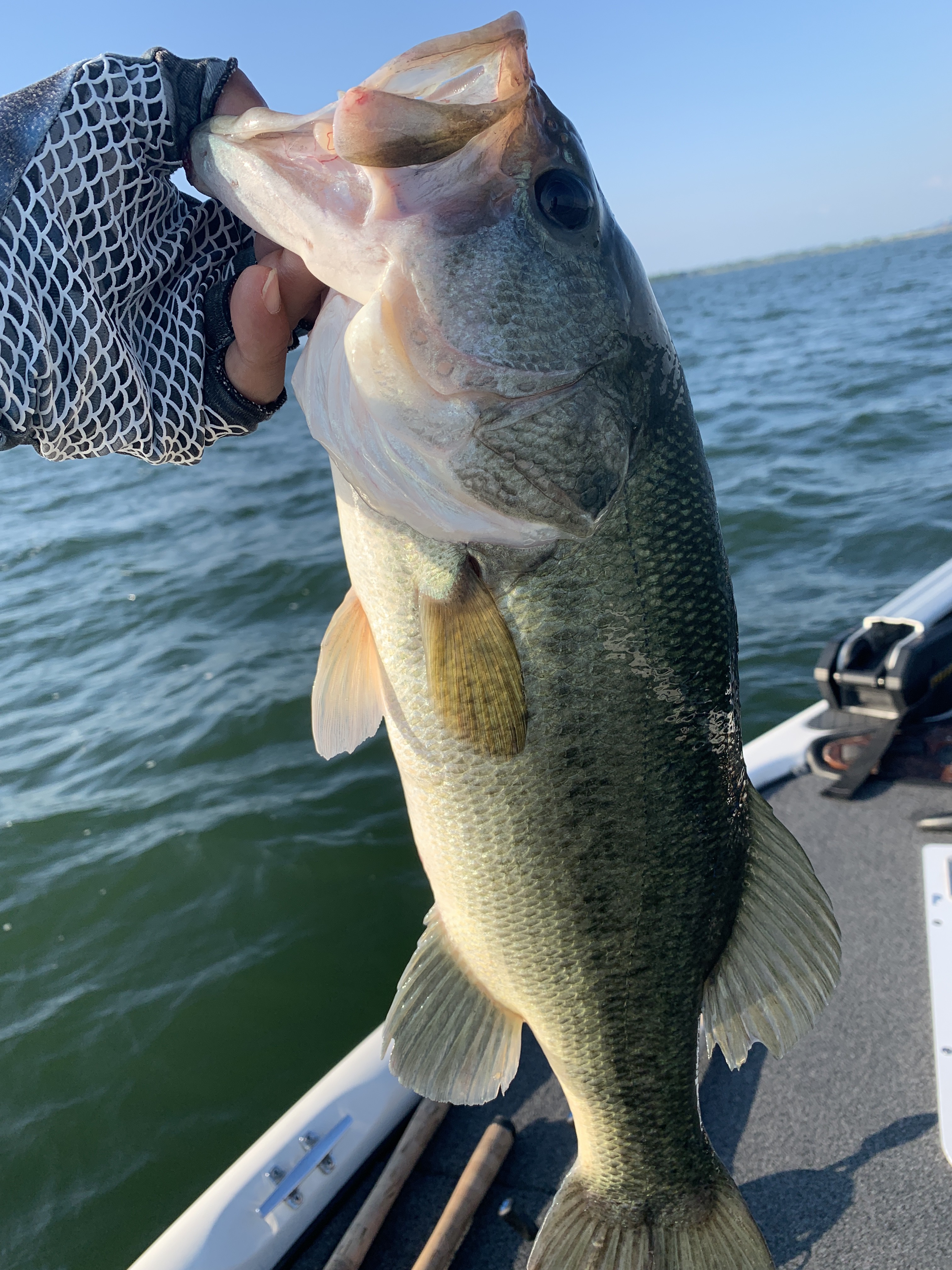 53FE145D-1E3A-4588-93F4-2AD5FBC69B7E