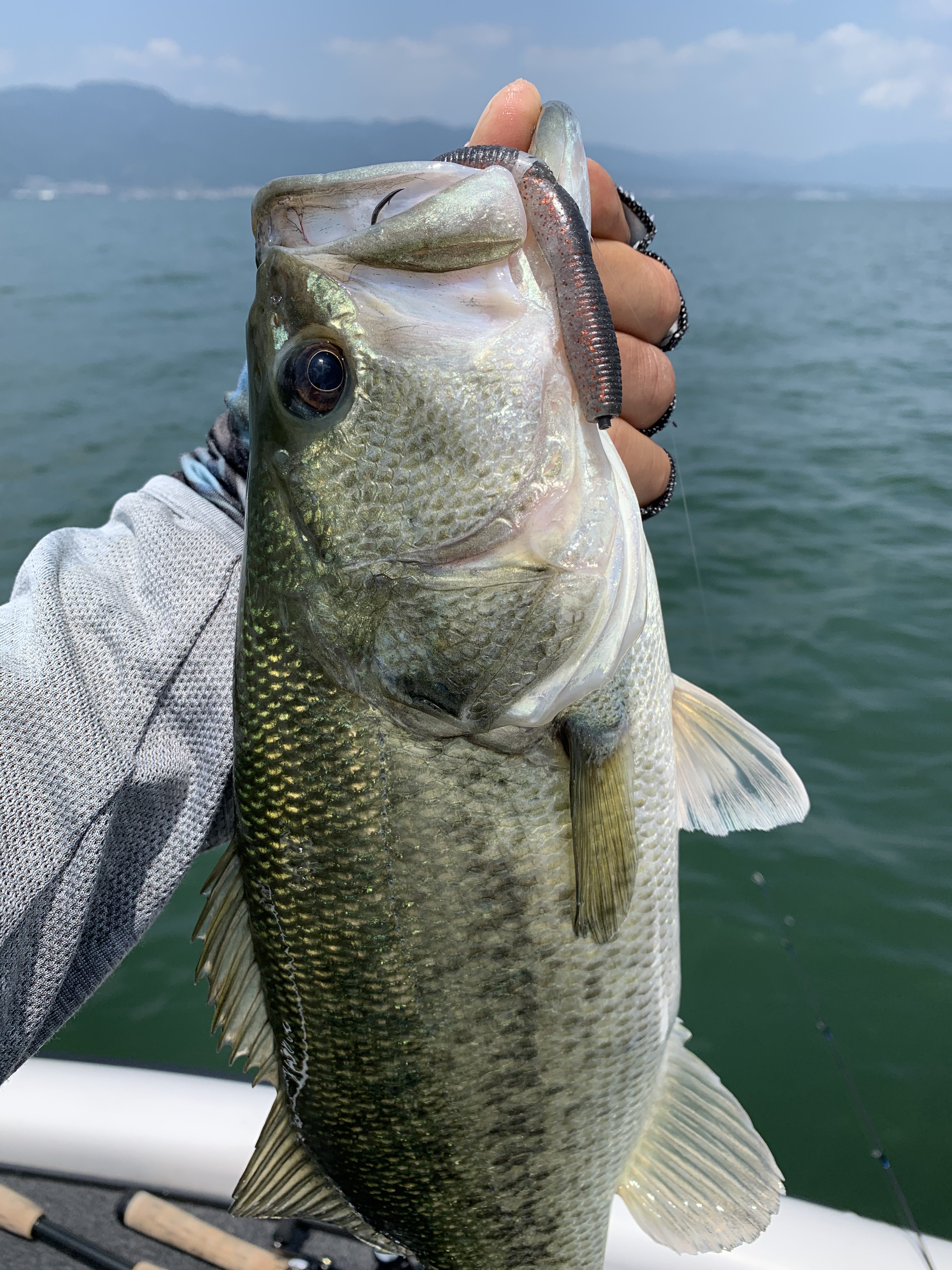 5DFF1B0A-803E-47C4-80E5-CDBD93ECDF6C