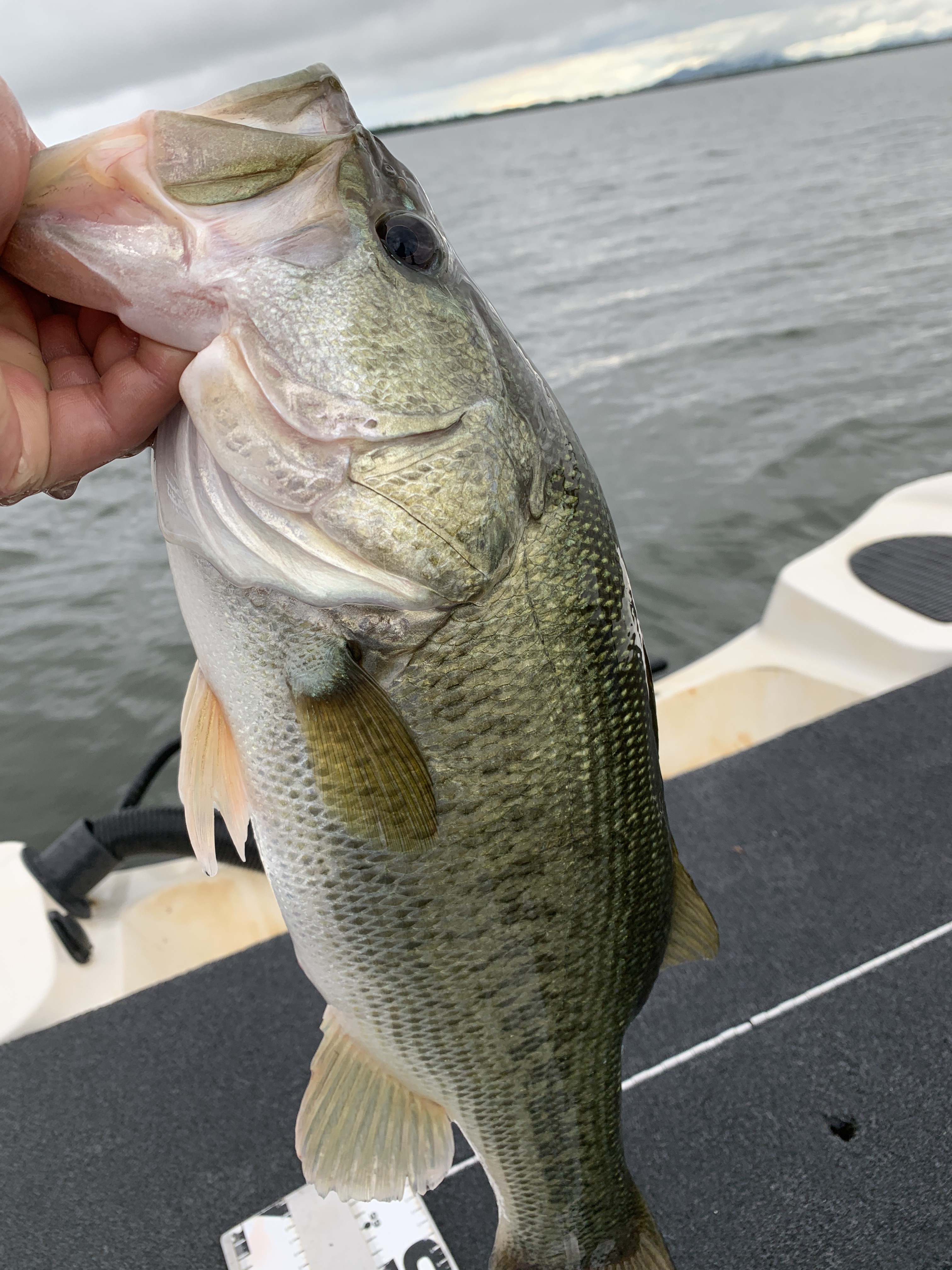 64C4454F-8BC0-4804-A650-25ADBC99429E