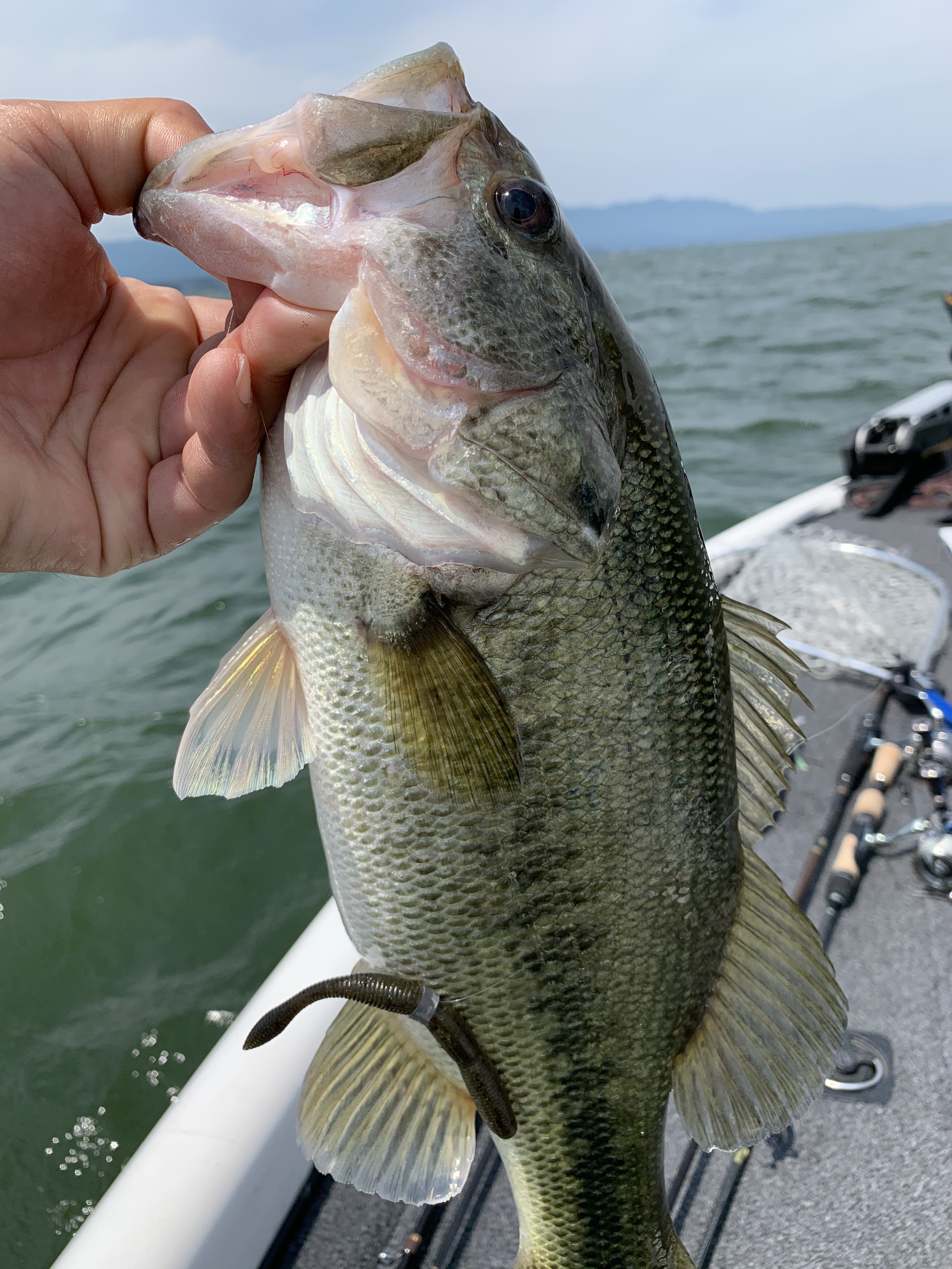 75A319B5-E18E-4A78-B647-E9D992FF66F8