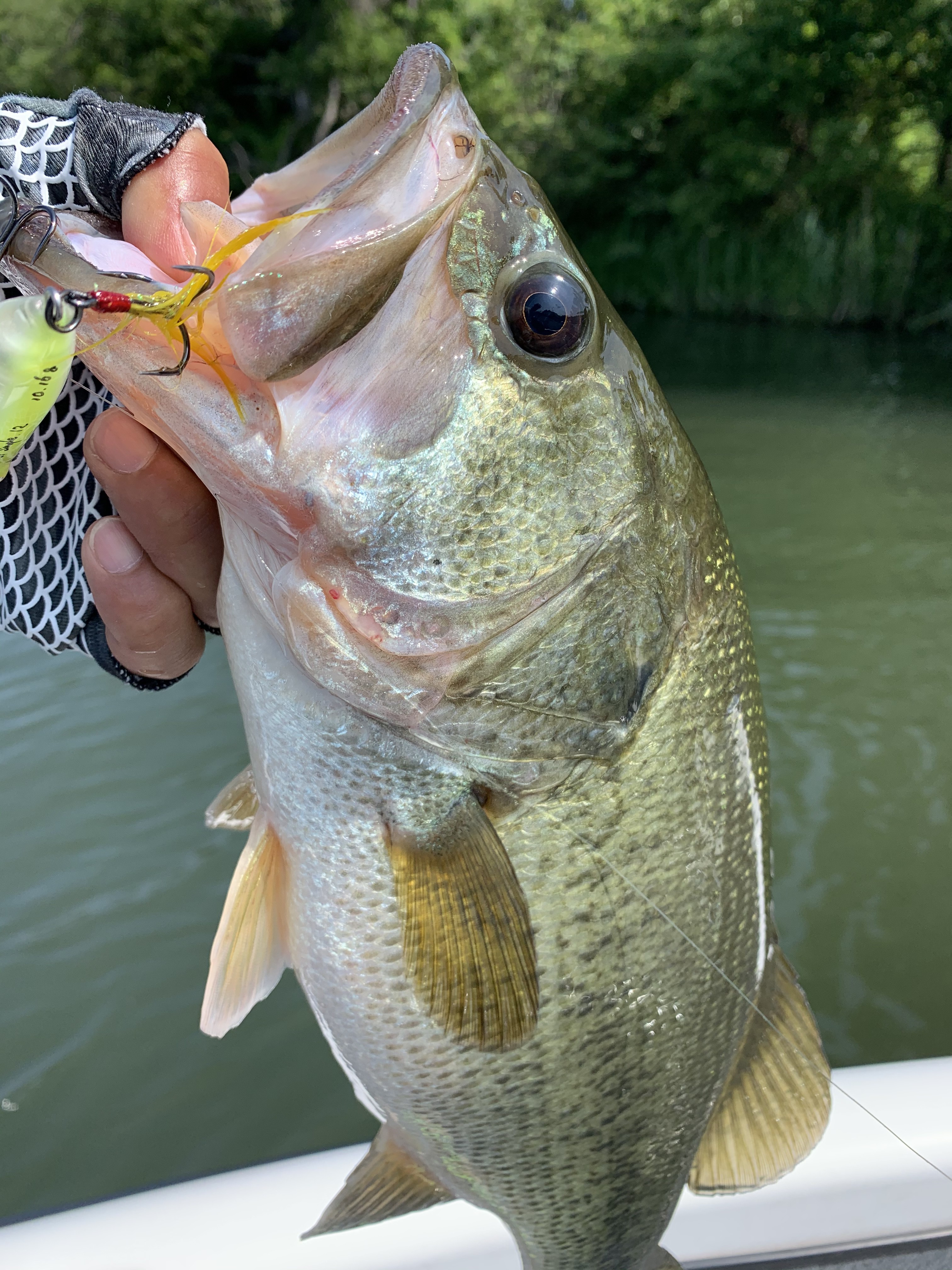 760F1C46-82BE-43E6-B24A-1807533B004E