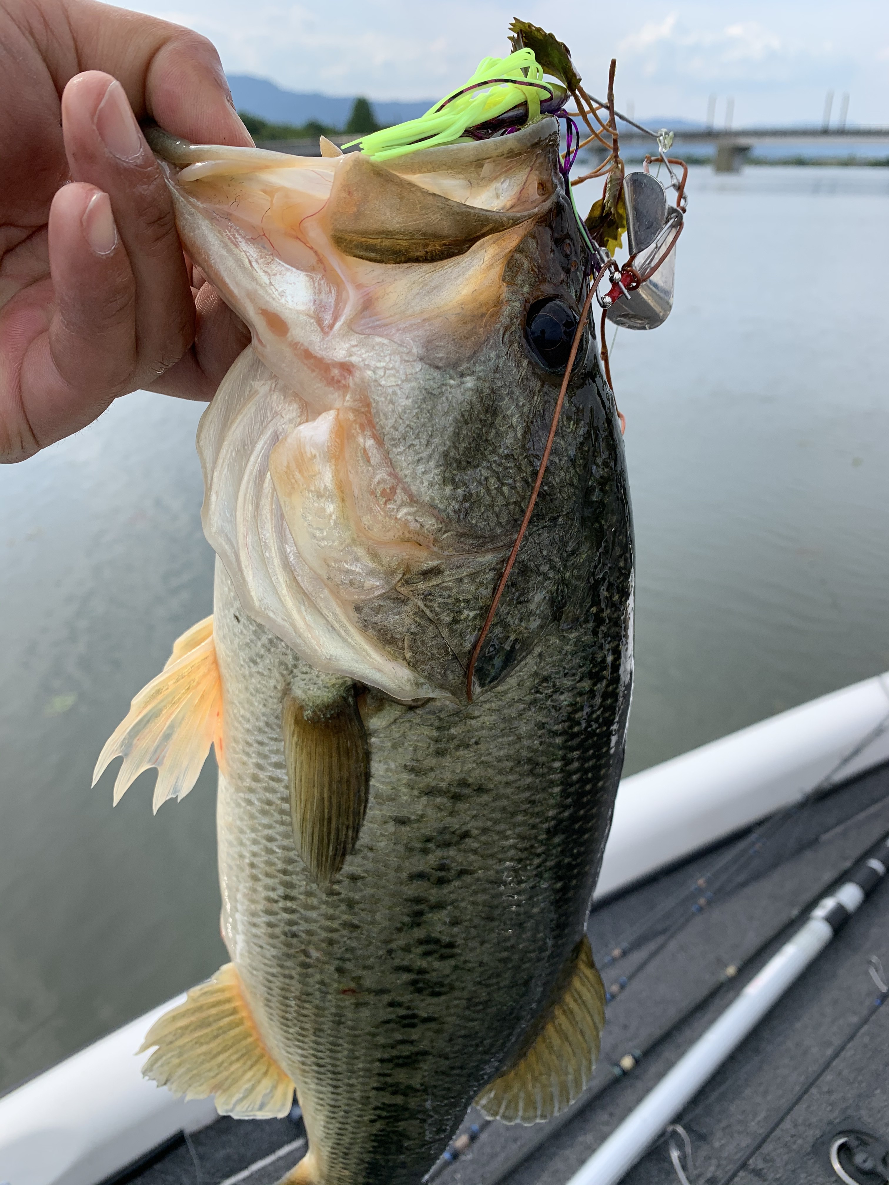 80BE4945-7DA2-4435-AAC9-7D52864F4E03